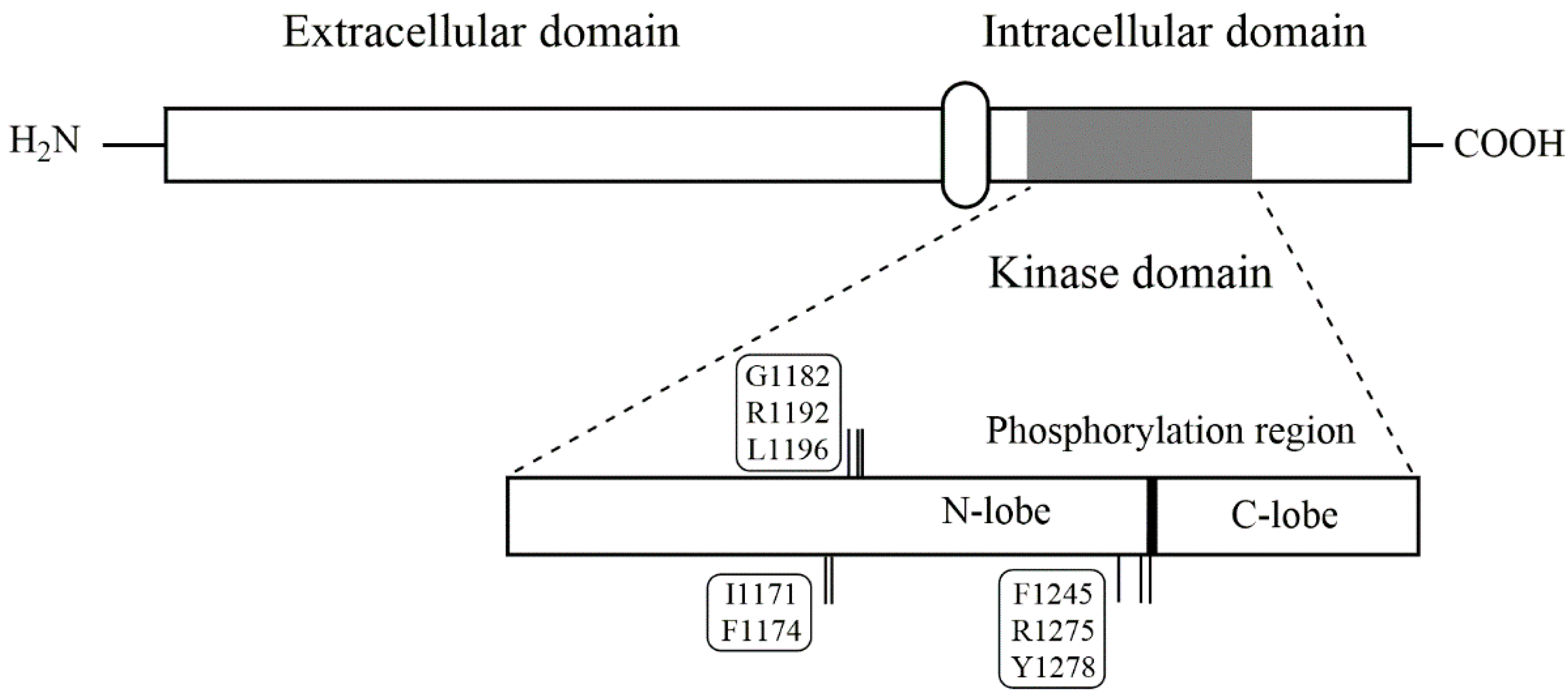 Pharmaceutics 13 01427 g001 Pharmaceutics 13 01427 g001