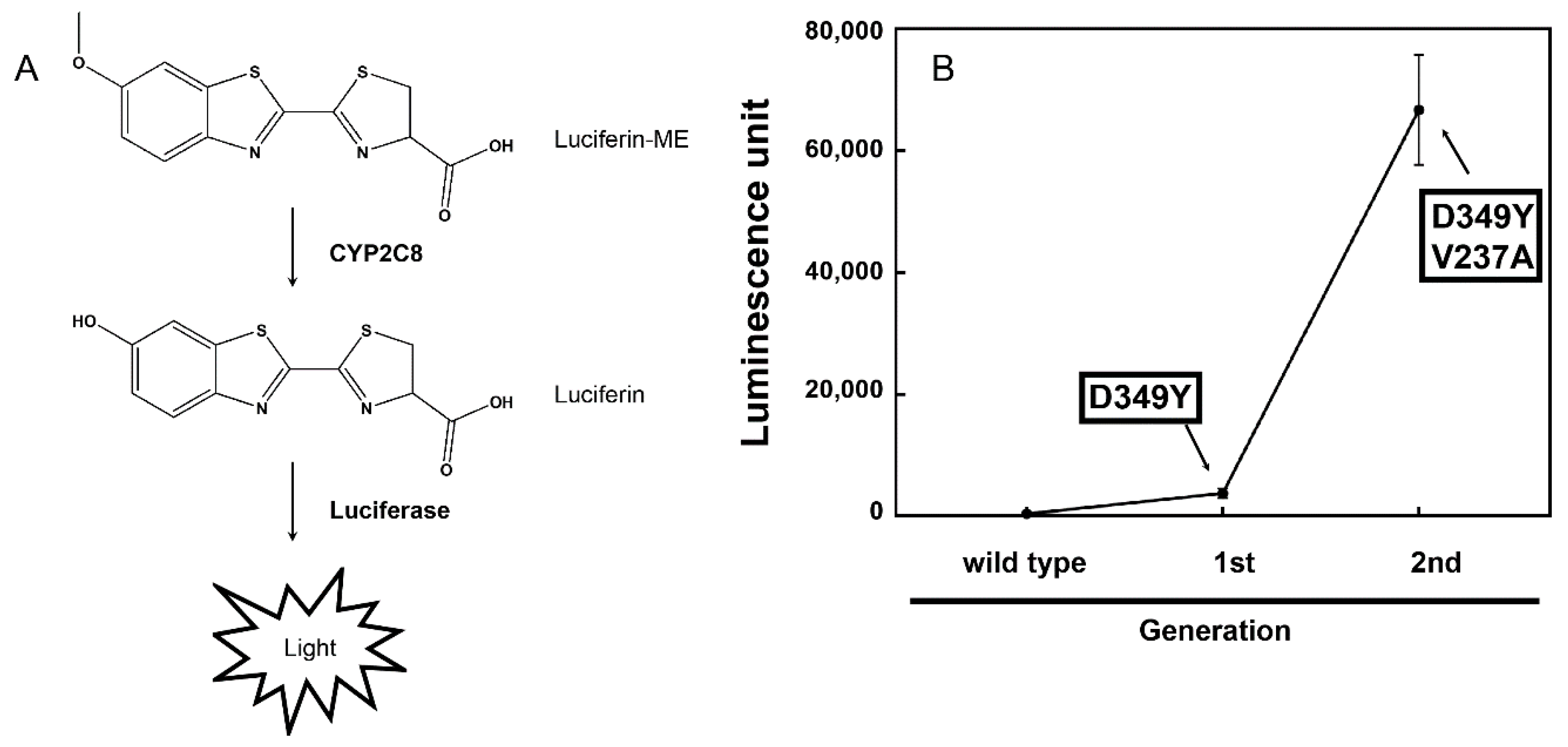 Pharmaceutics 13 01429 g001