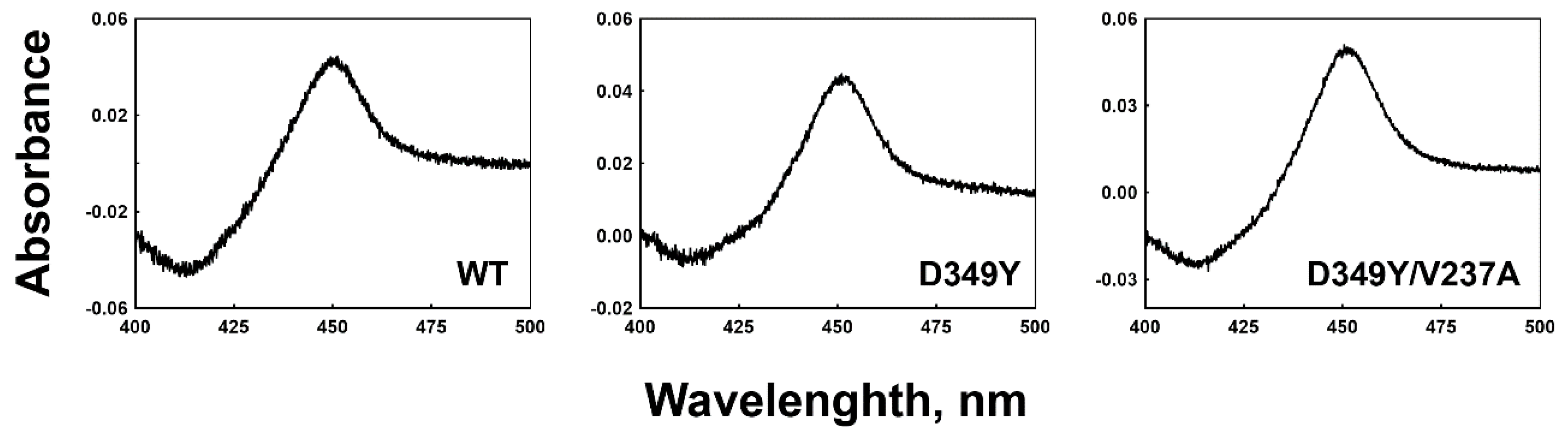 Pharmaceutics 13 01429 g002