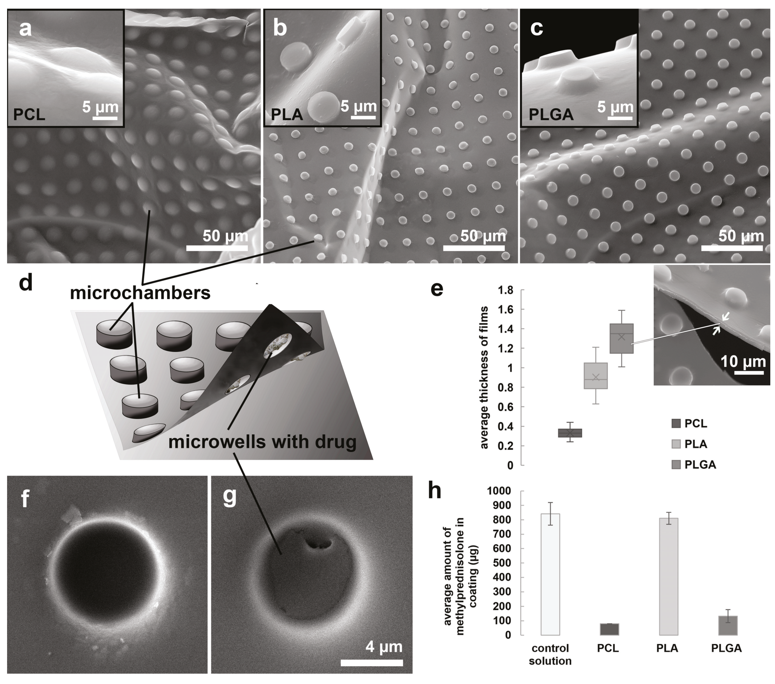 Pharmaceutics 13 01437 g002 Pharmaceutics 13 01437 g002