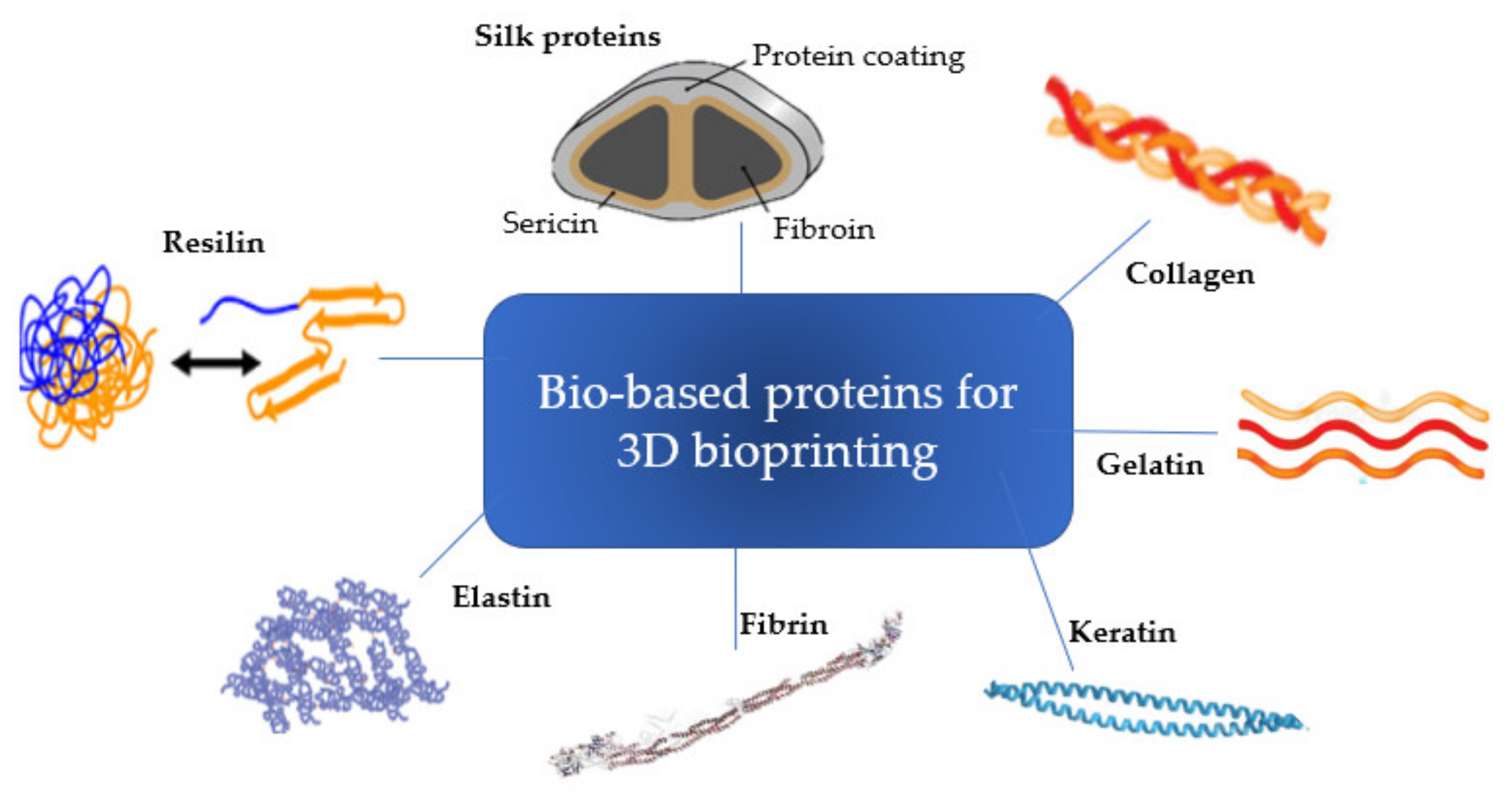 Pharmaceutics 13 01444 g002