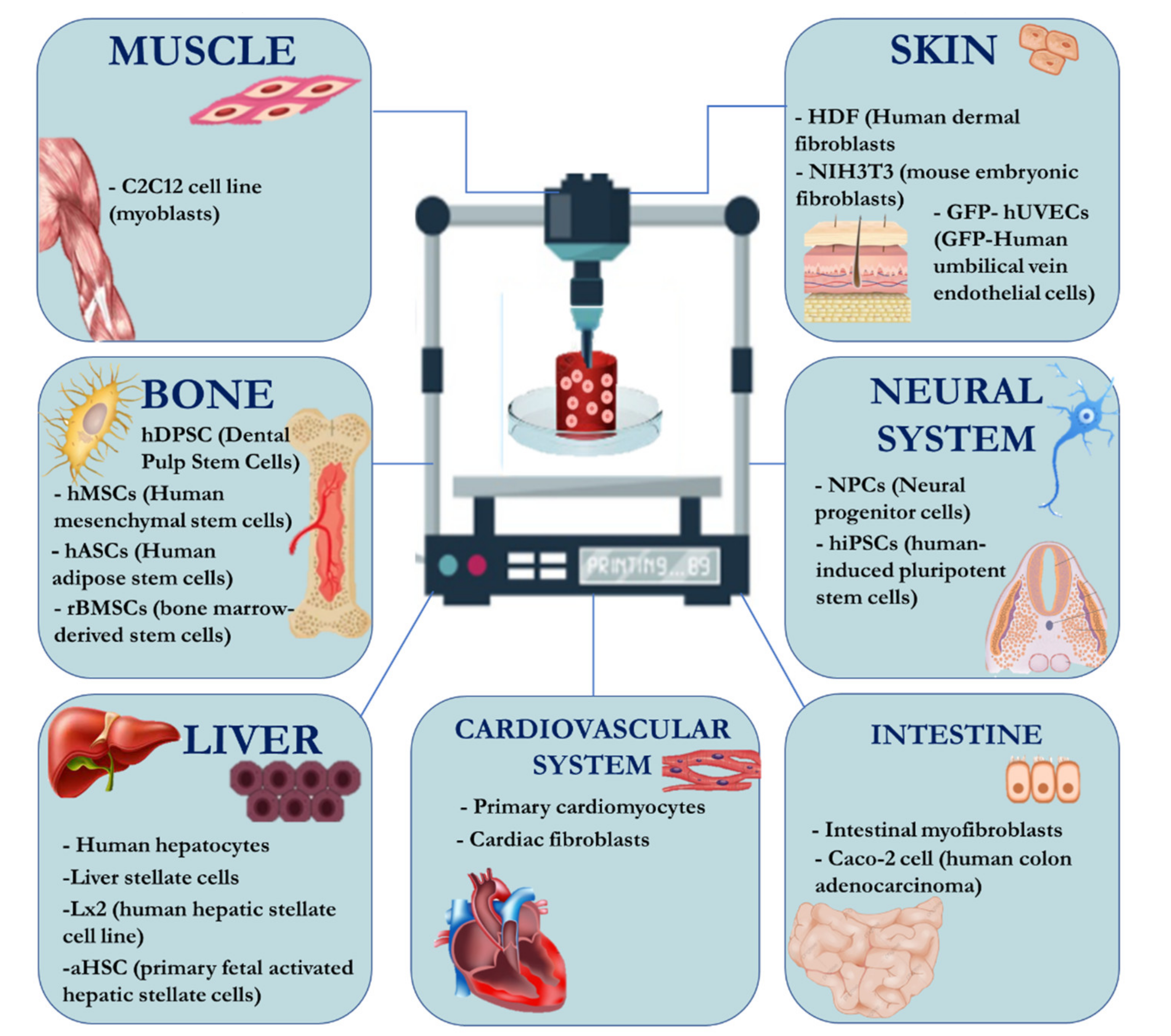 Pharmaceutics 13 01444 g004