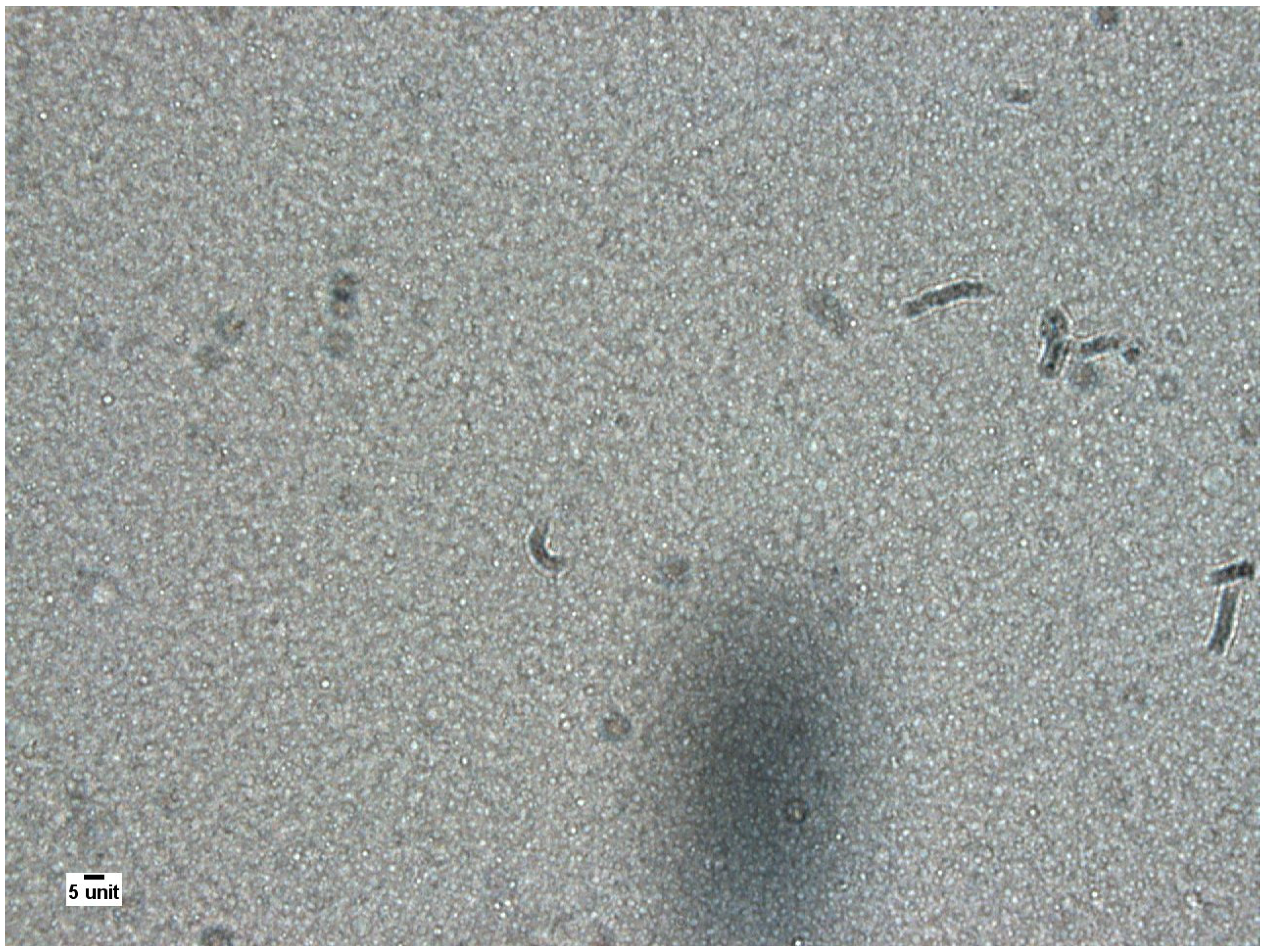 Pharmaceutics 13 01447 g002