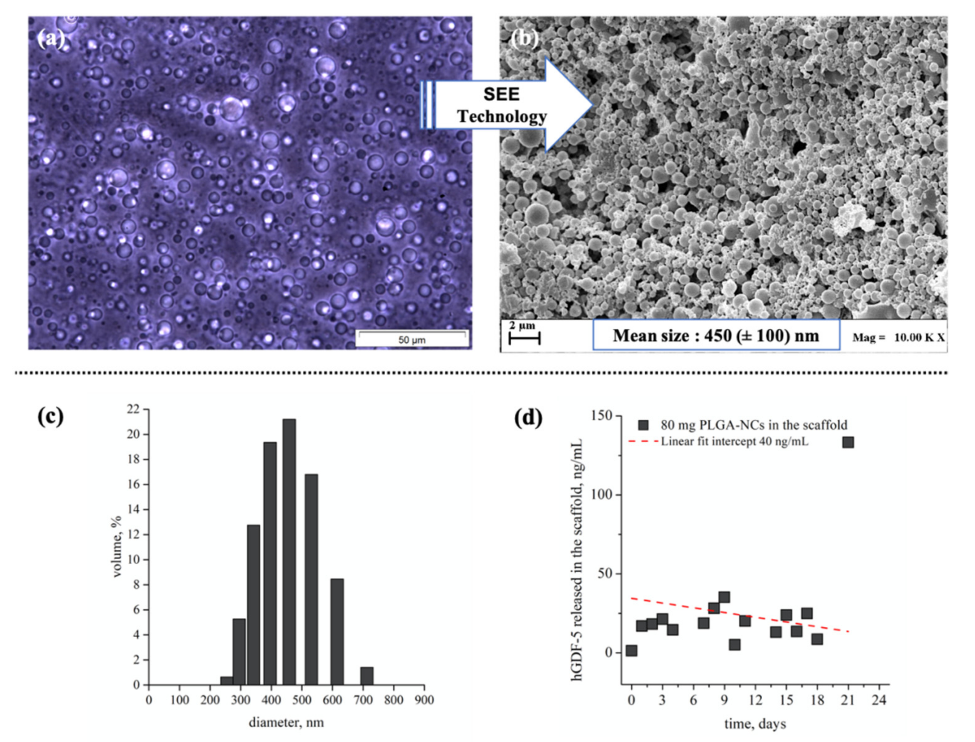 Pharmaceutics 13 01448 g006