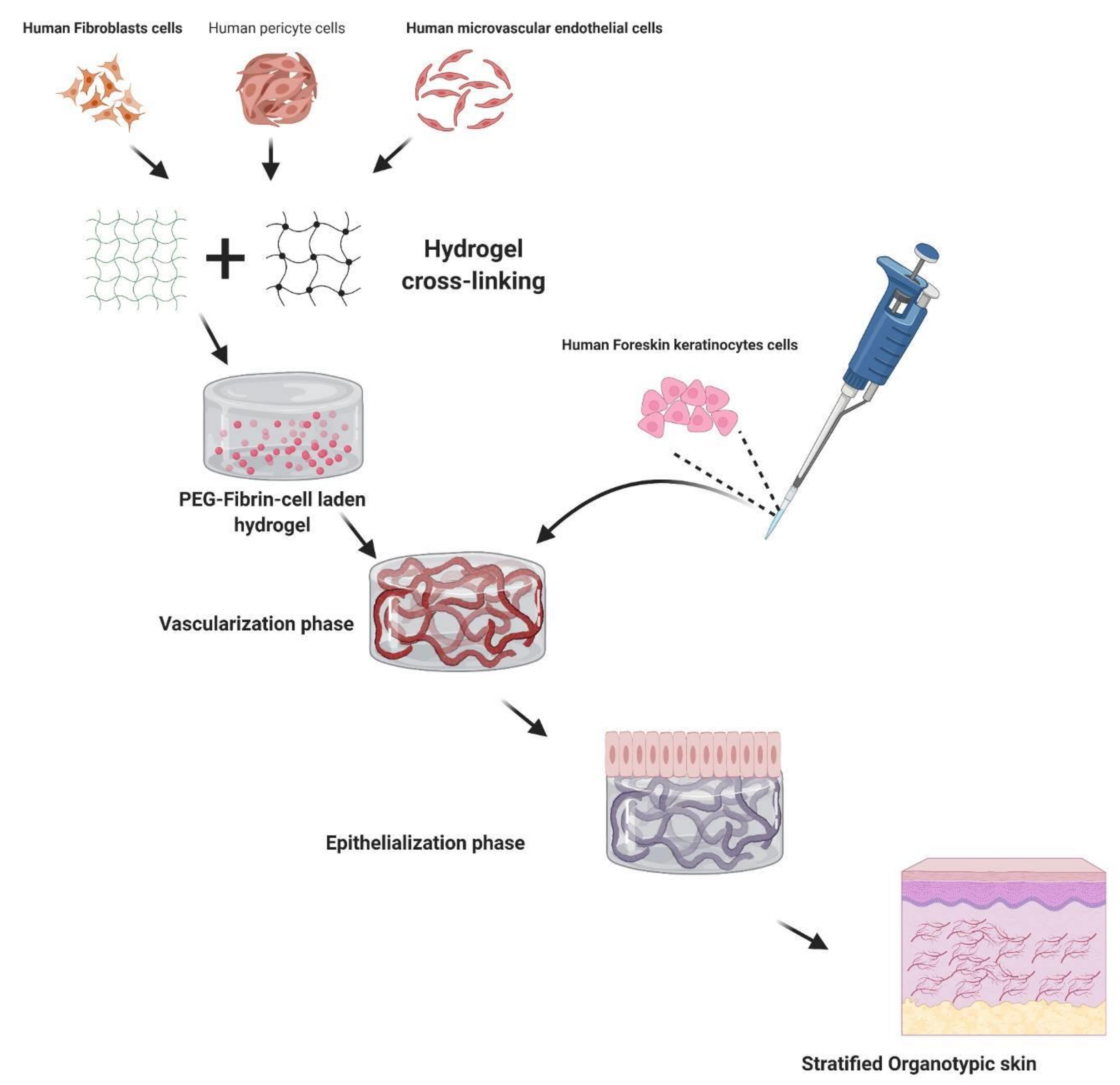 Pharmaceutics 13 01457 g003