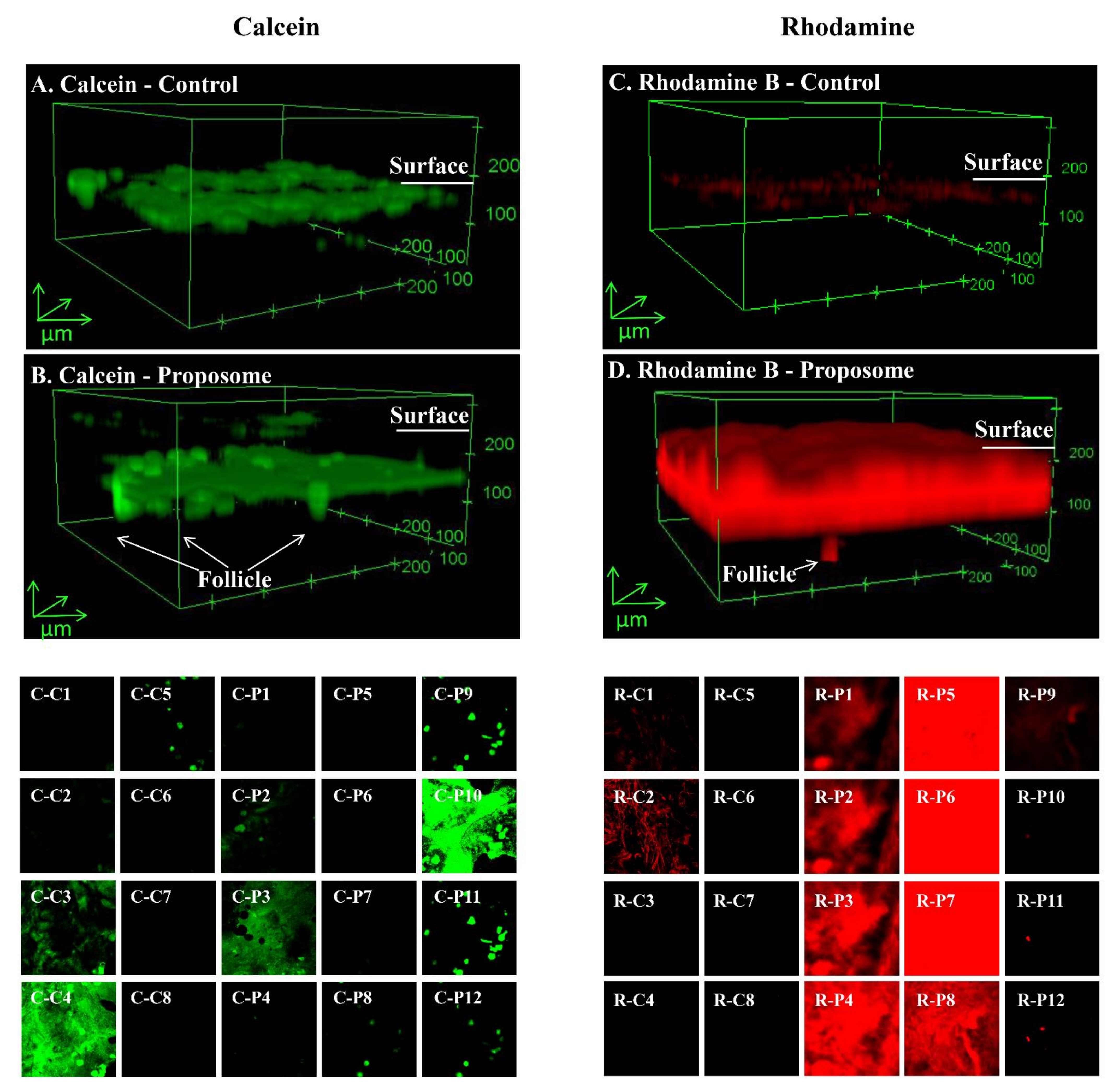 Pharmaceutics 13 01457 g006