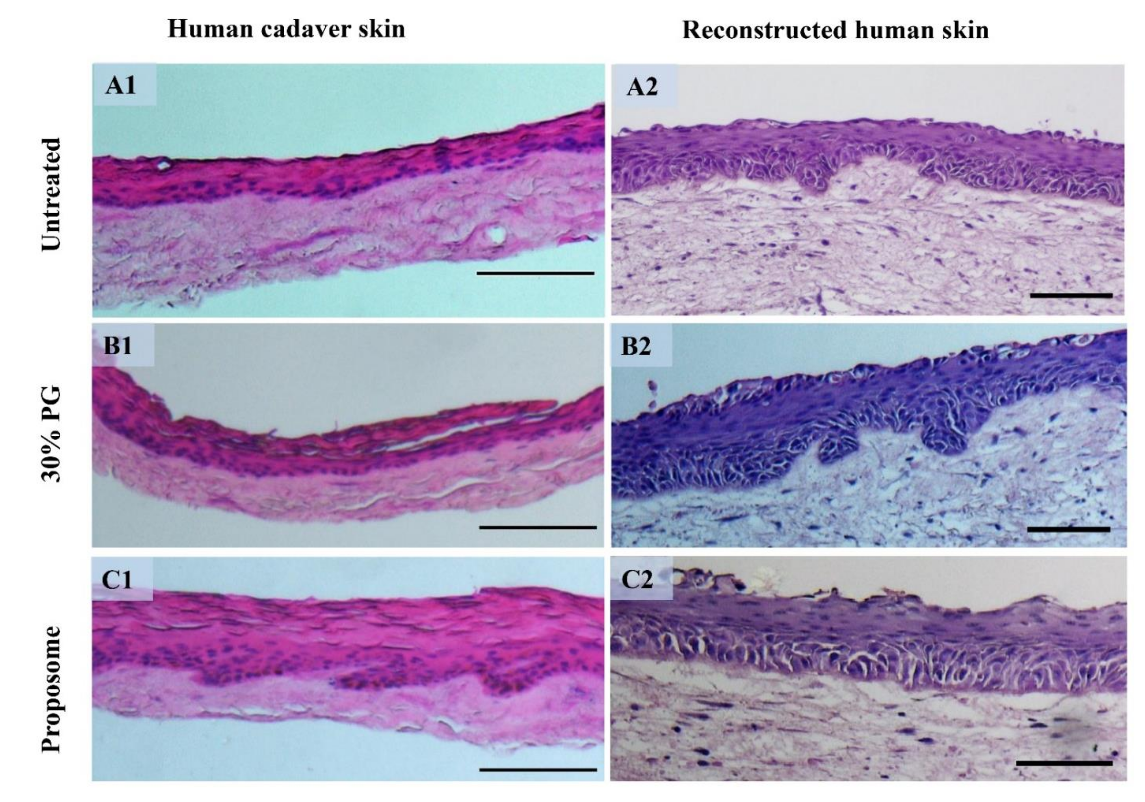 Pharmaceutics 13 01457 g007