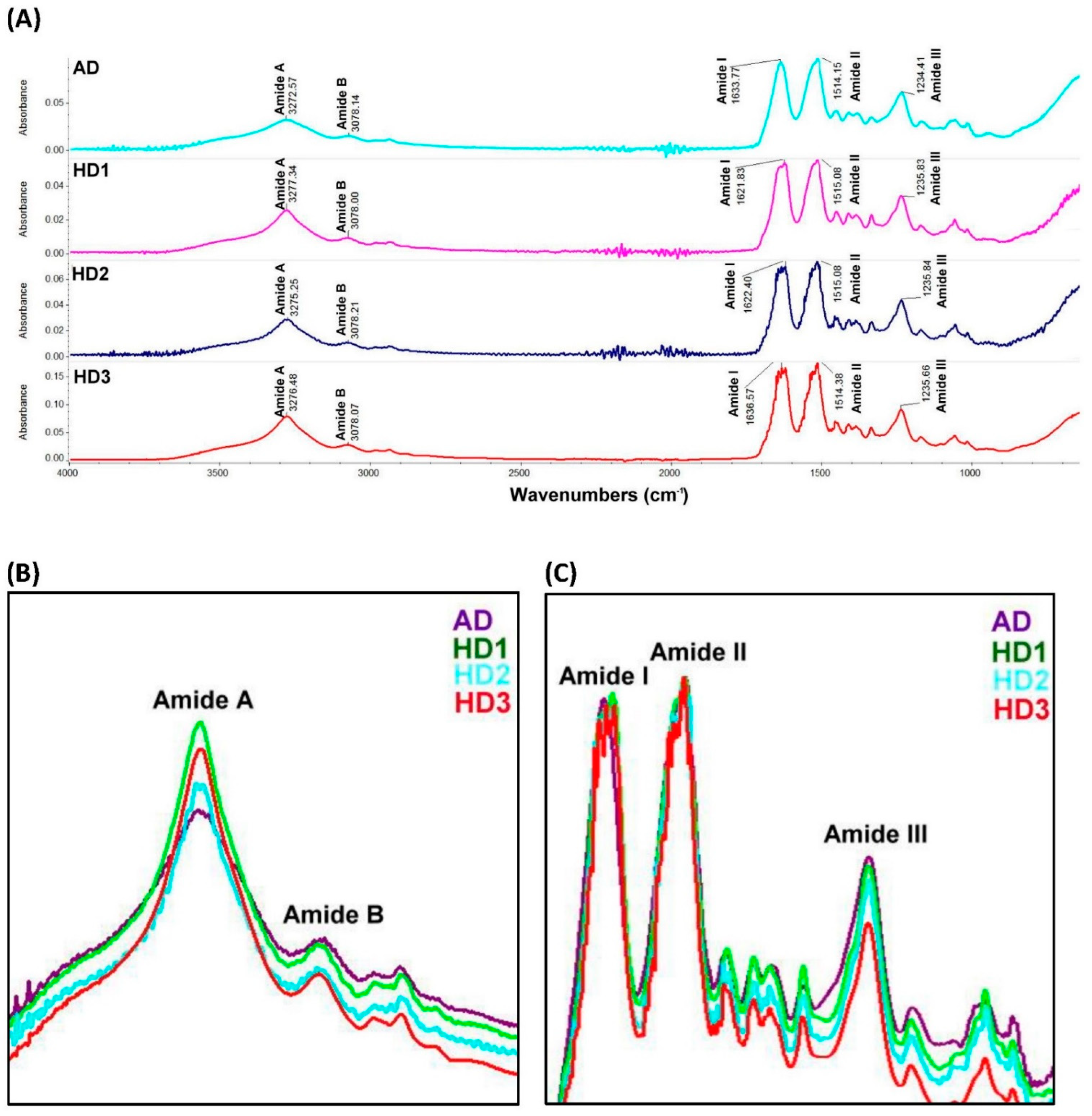 Pharmaceutics 13 01459 g004 550