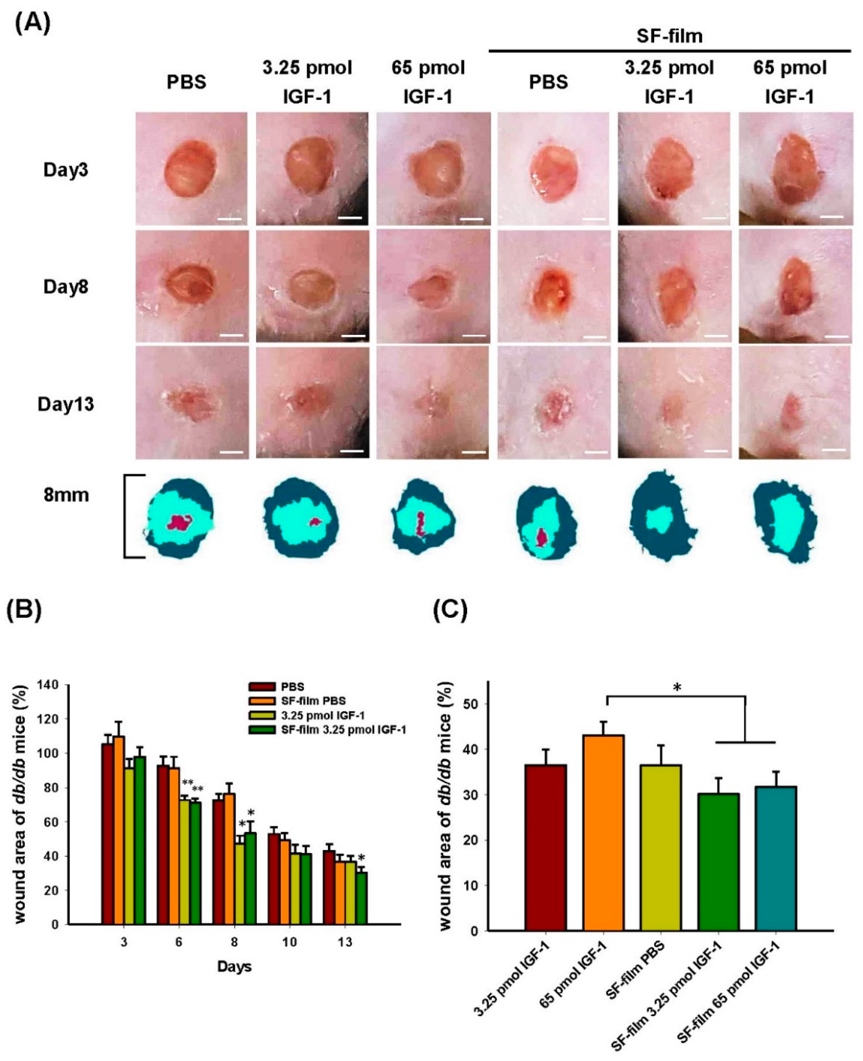 Pharmaceutics 13 01459 g007 550