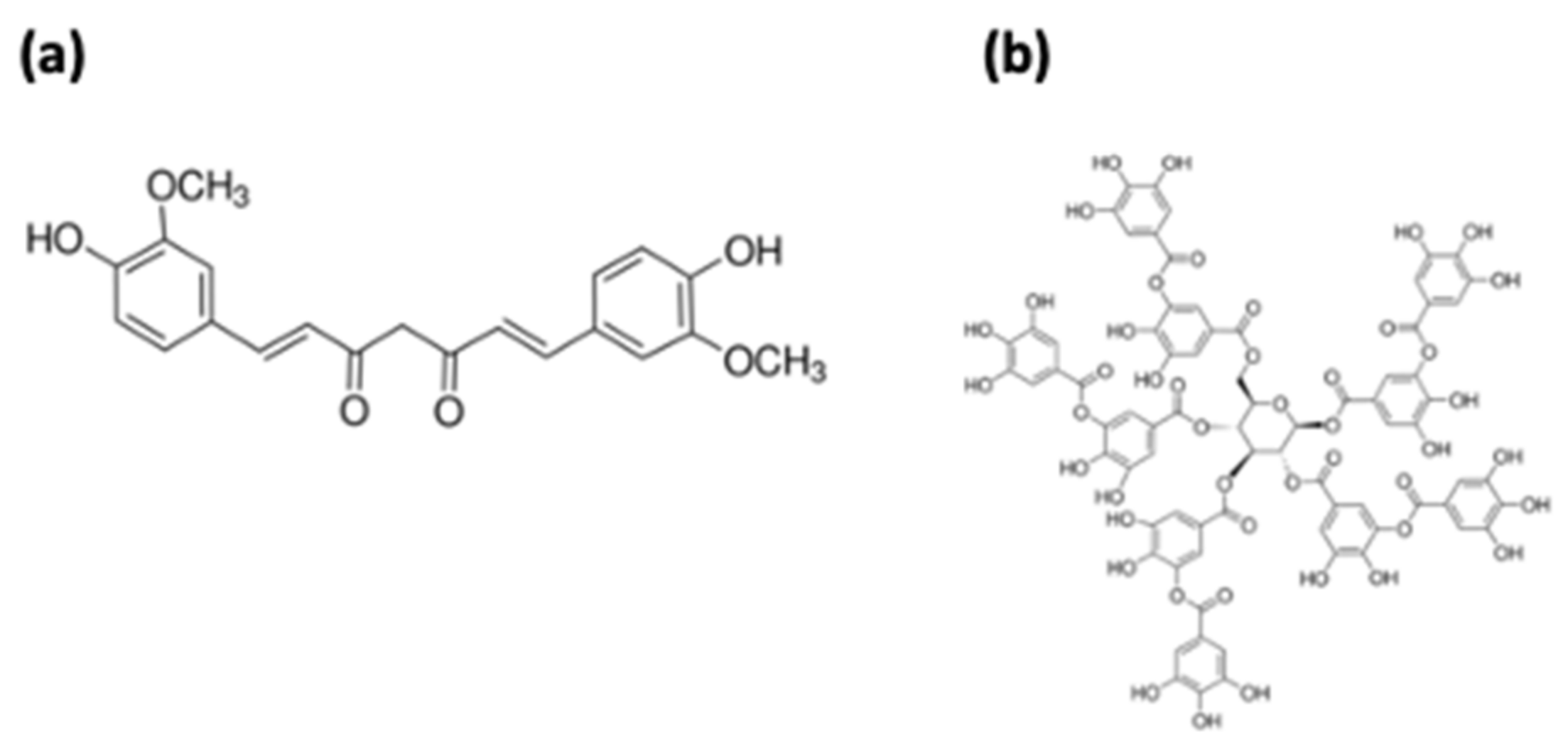 Pharmaceutics 13 01460 g001