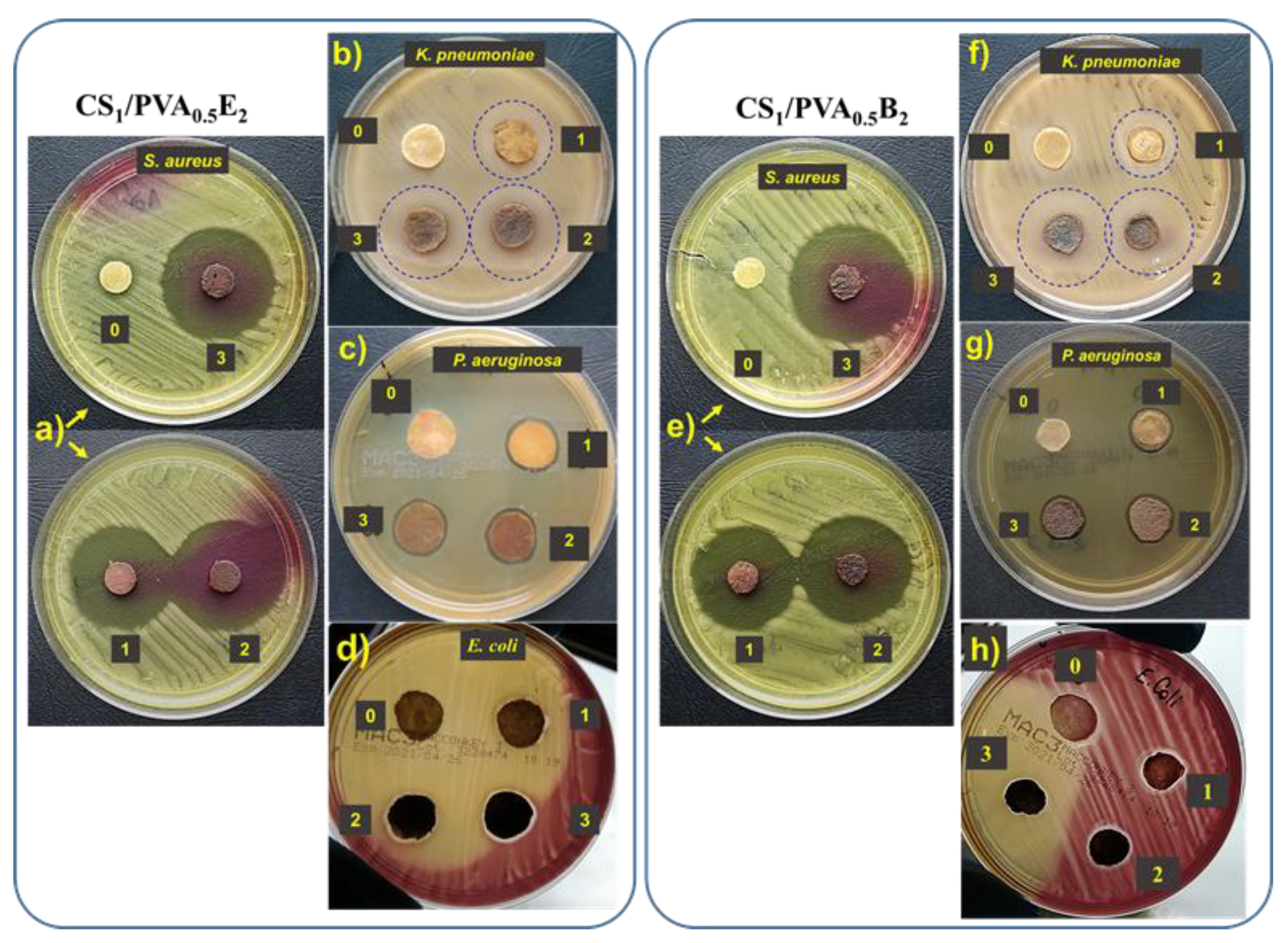 Pharmaceutics 13 01461 g007 550