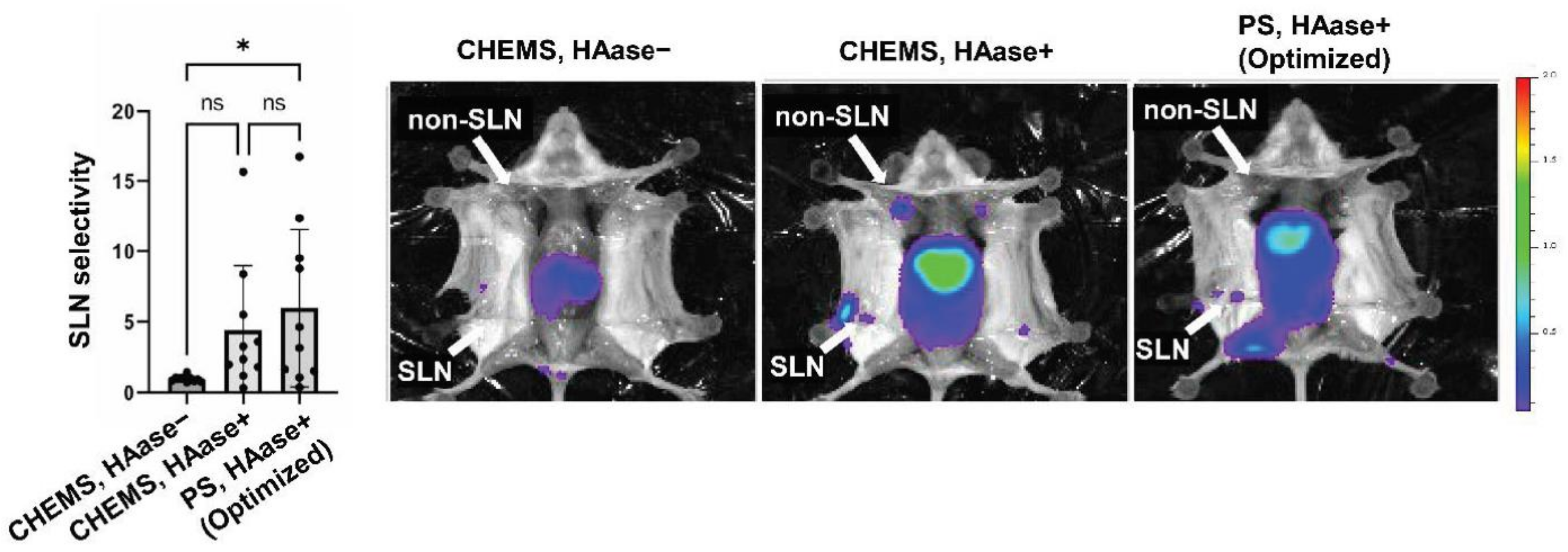 Pharmaceutics 13 01462 g004