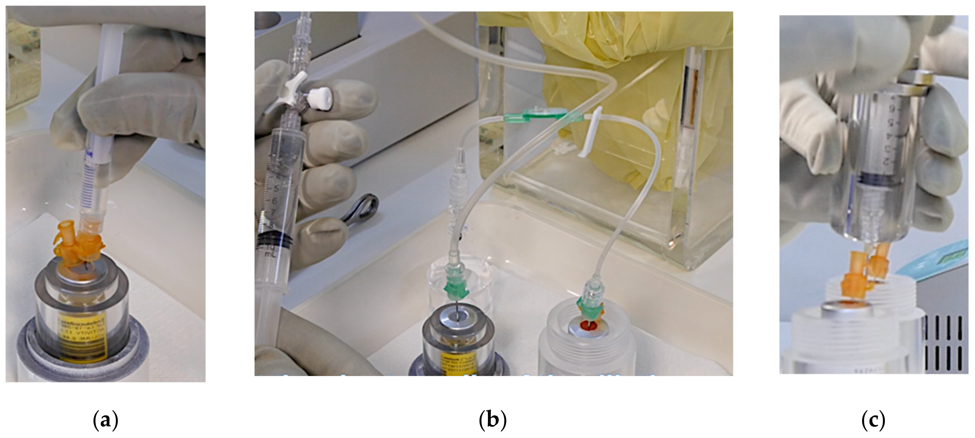 Pharmaceutics 13 01463 g004 Pharmaceutics 13 01463 g004