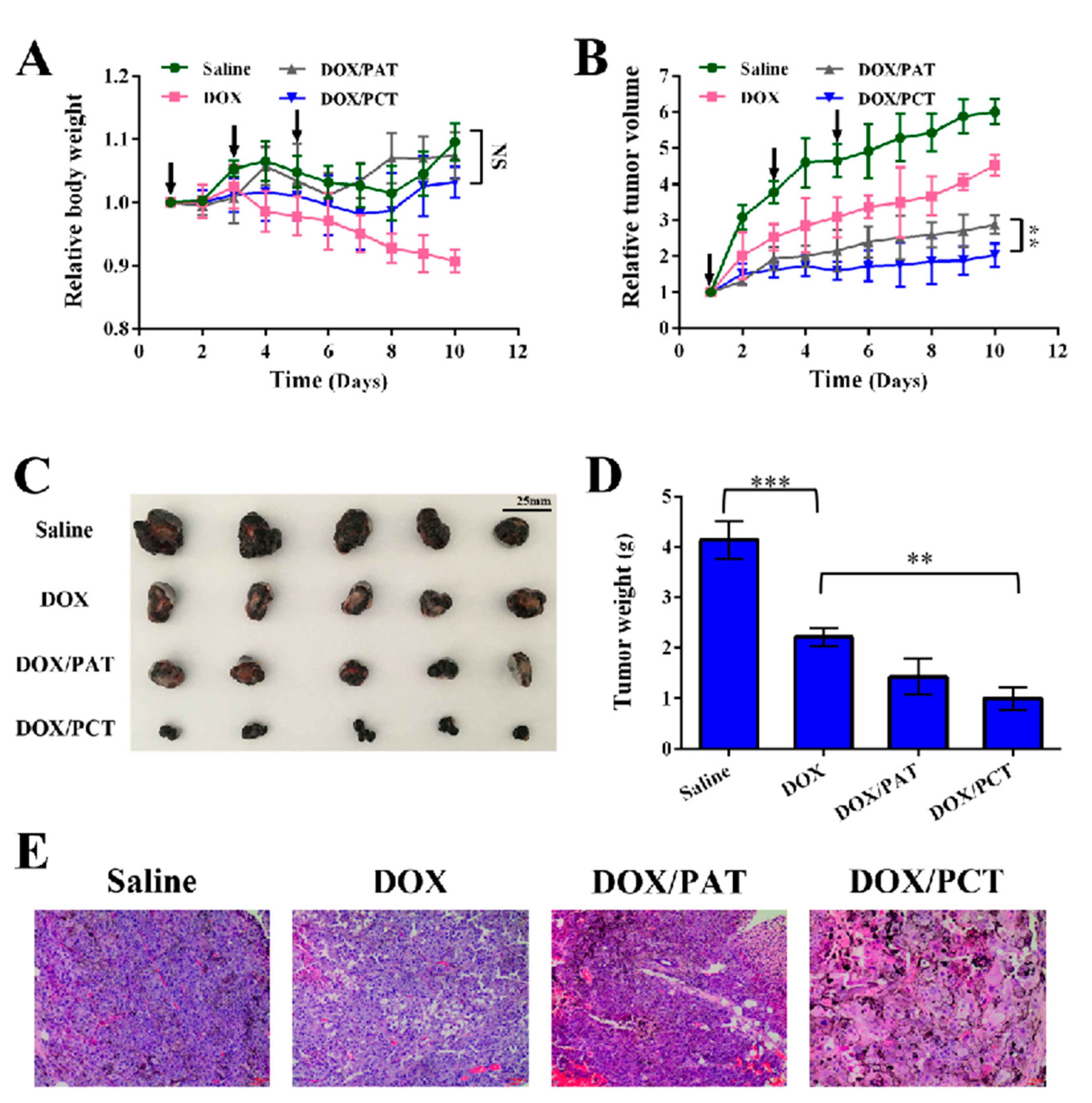 Pharmaceutics 13 01464 g008 550