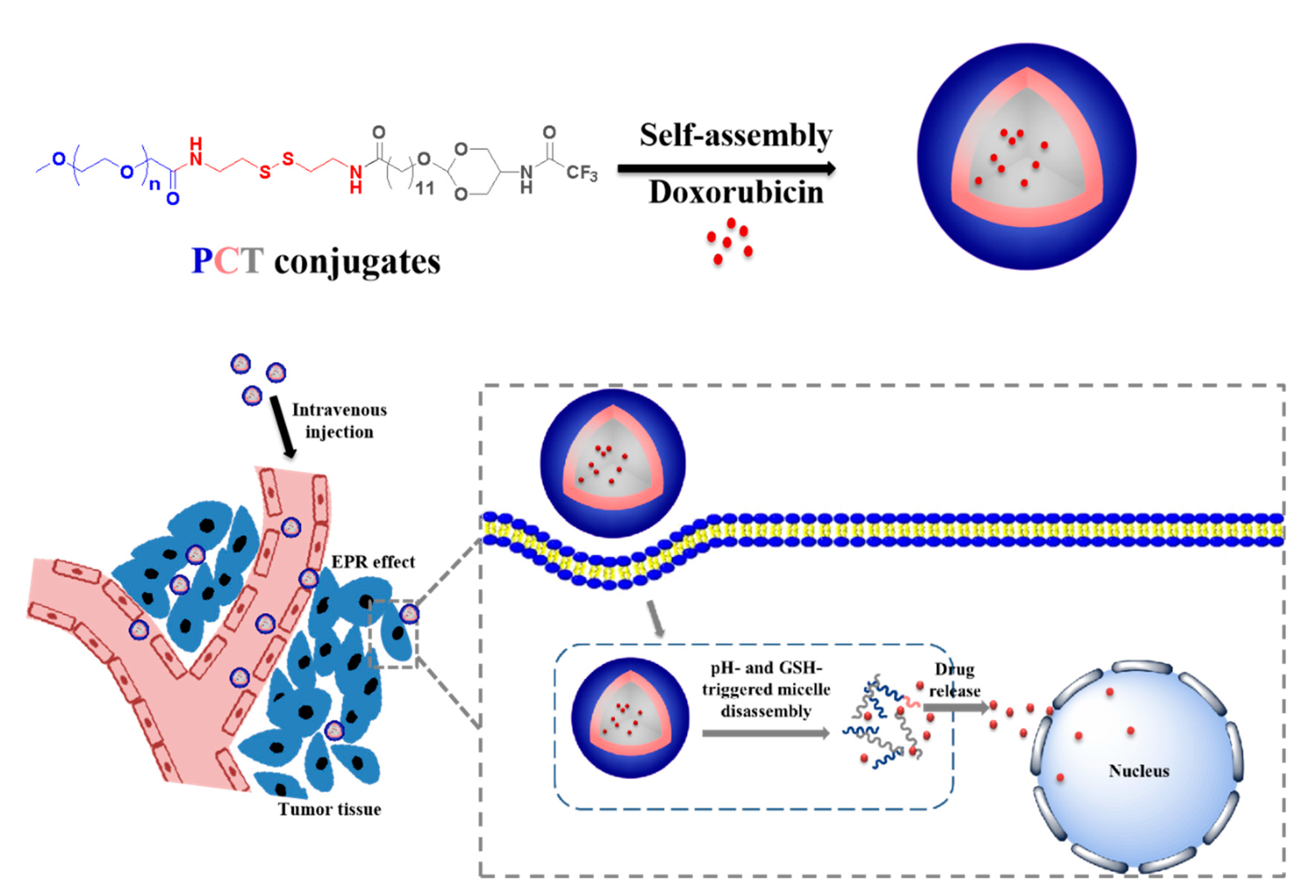 Pharmaceutics 13 01464 sch001 550