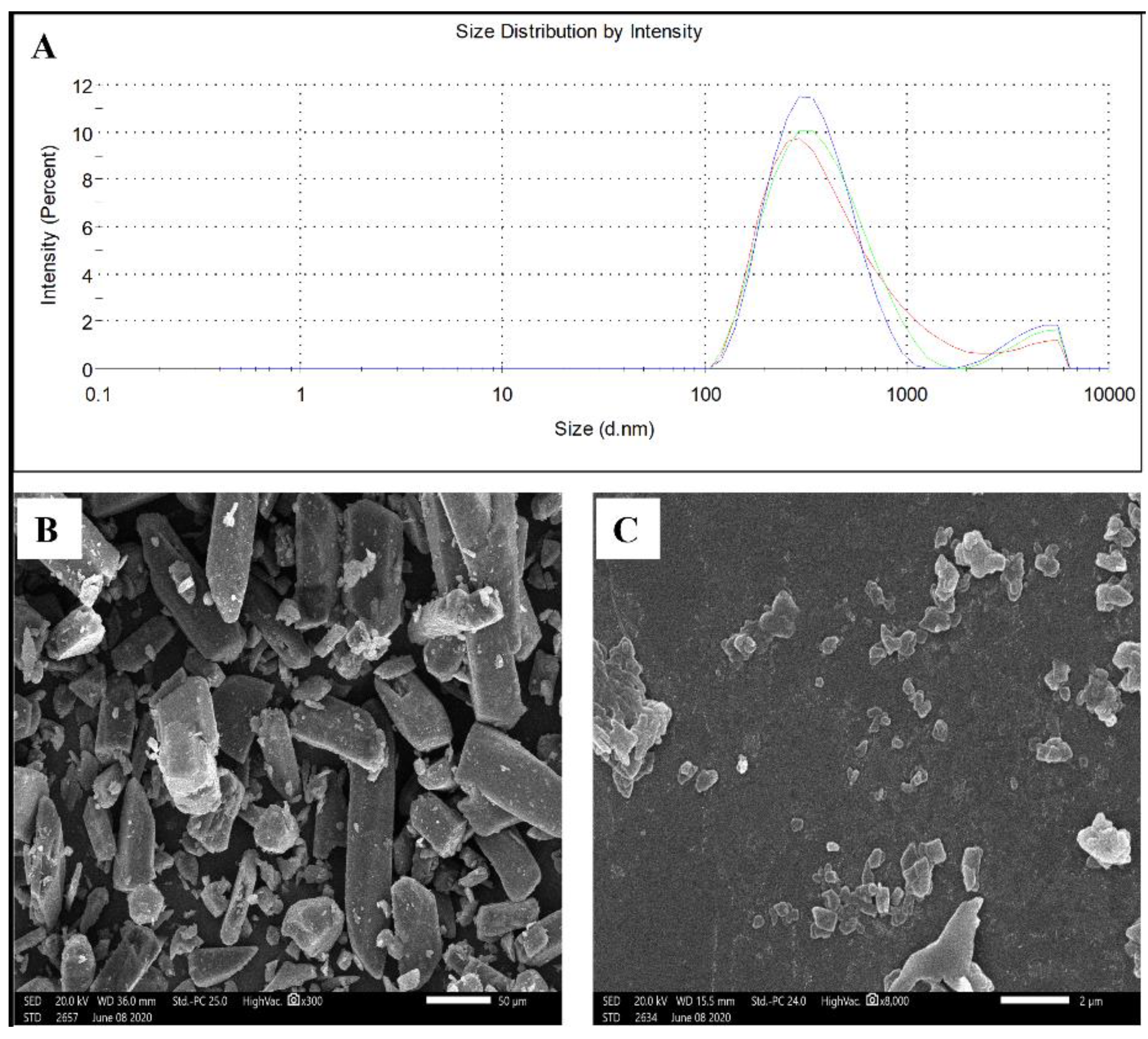 Pharmaceutics 13 01469 g001 550