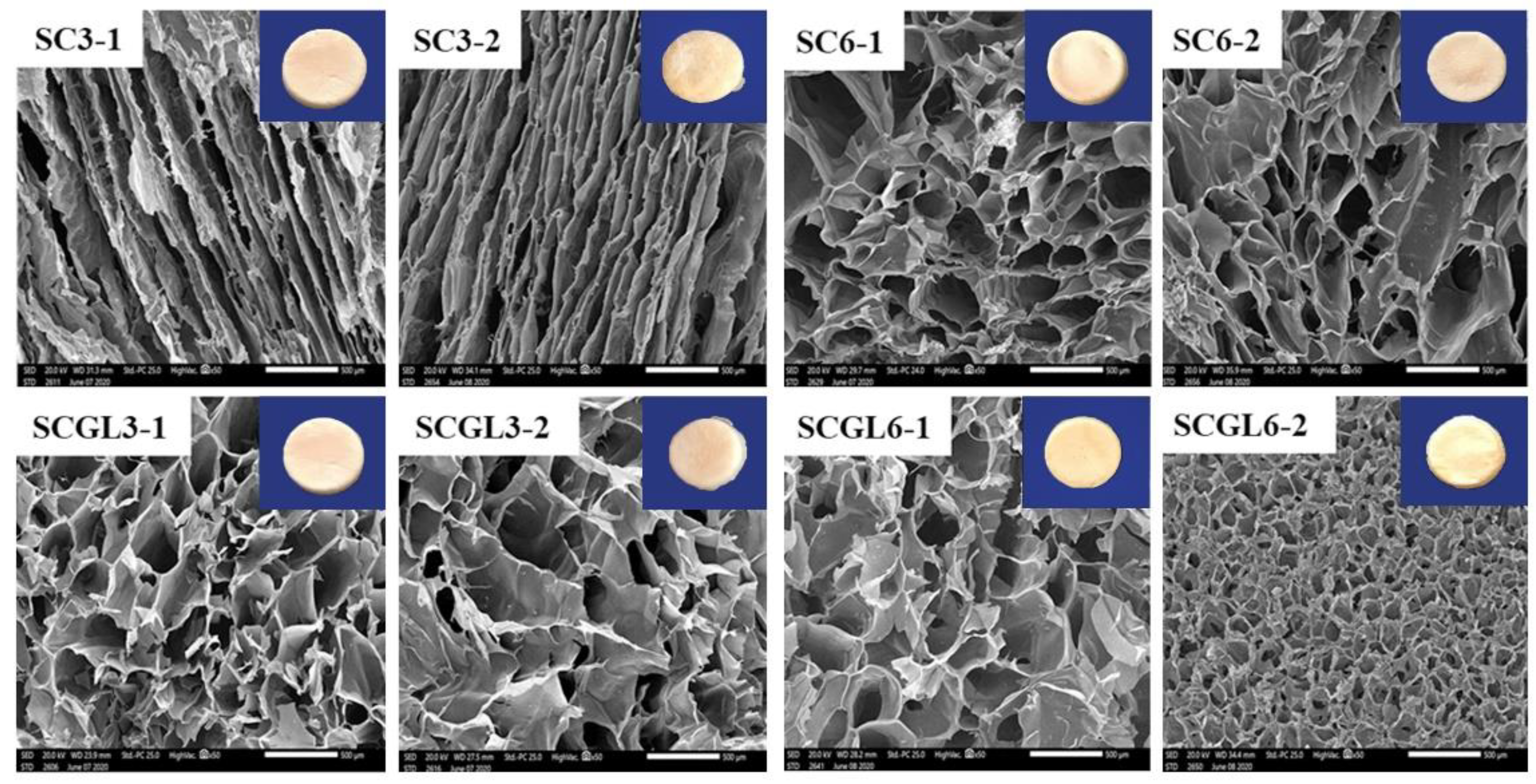 Pharmaceutics 13 01469 g003 550