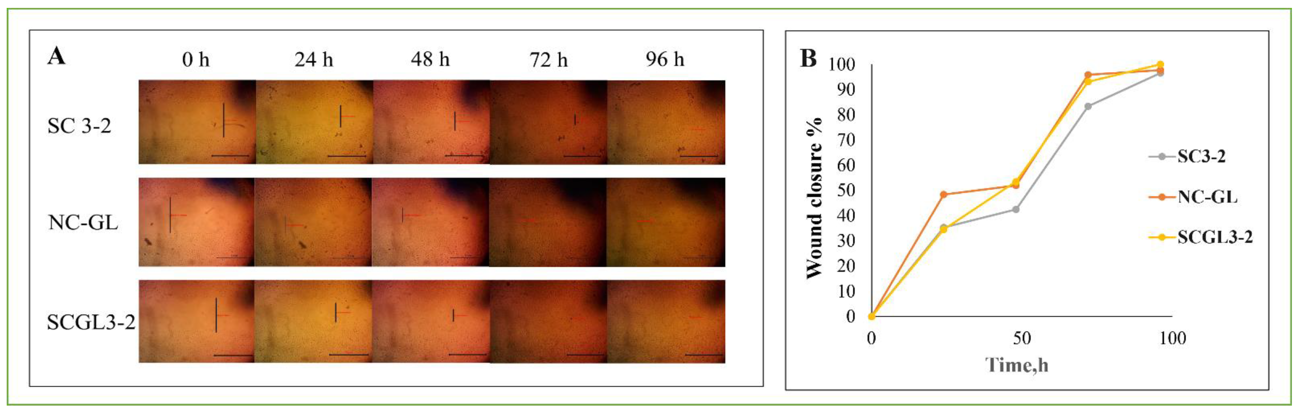 Pharmaceutics 13 01469 g007 550