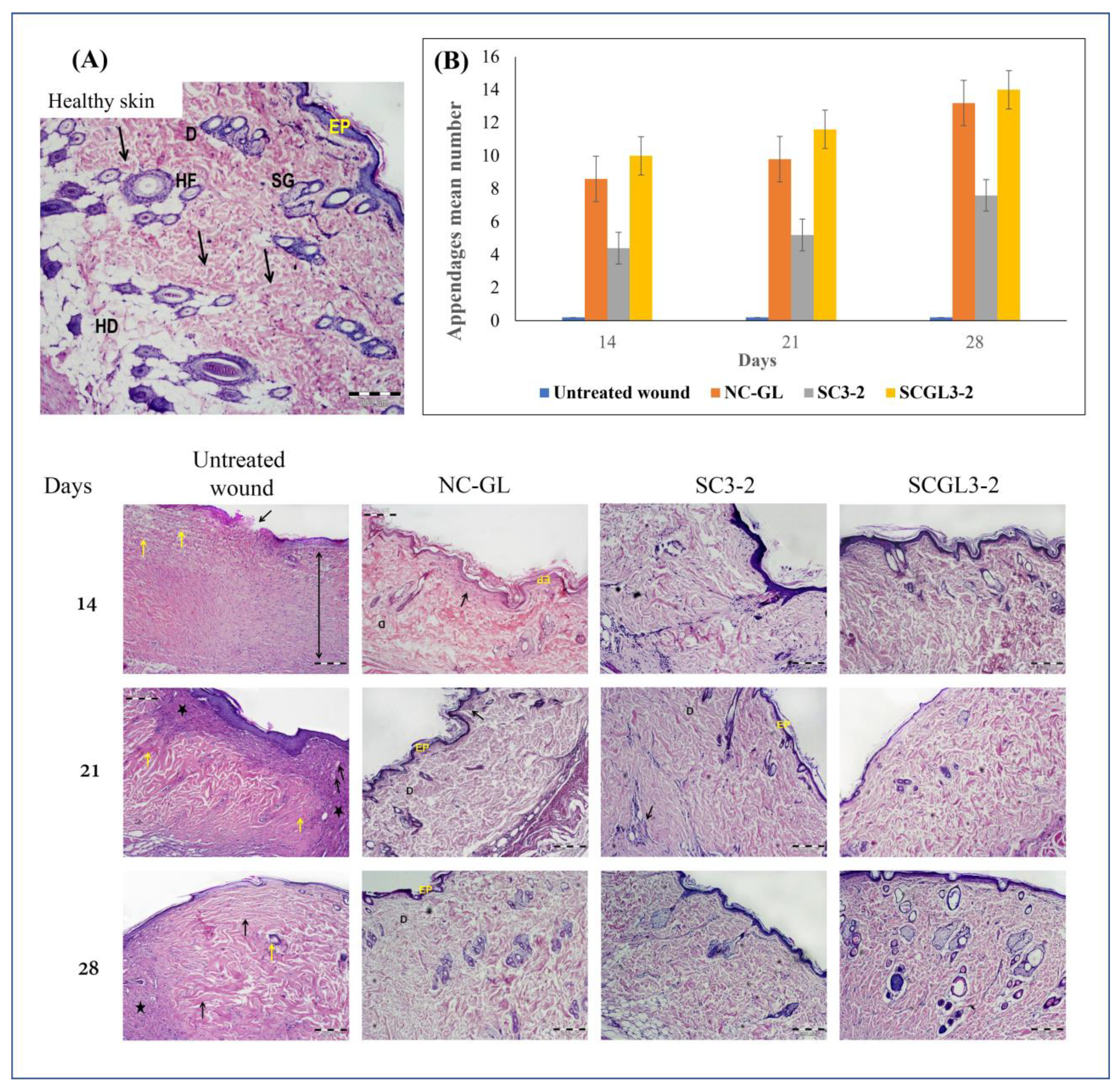 Pharmaceutics 13 01469 g009 550