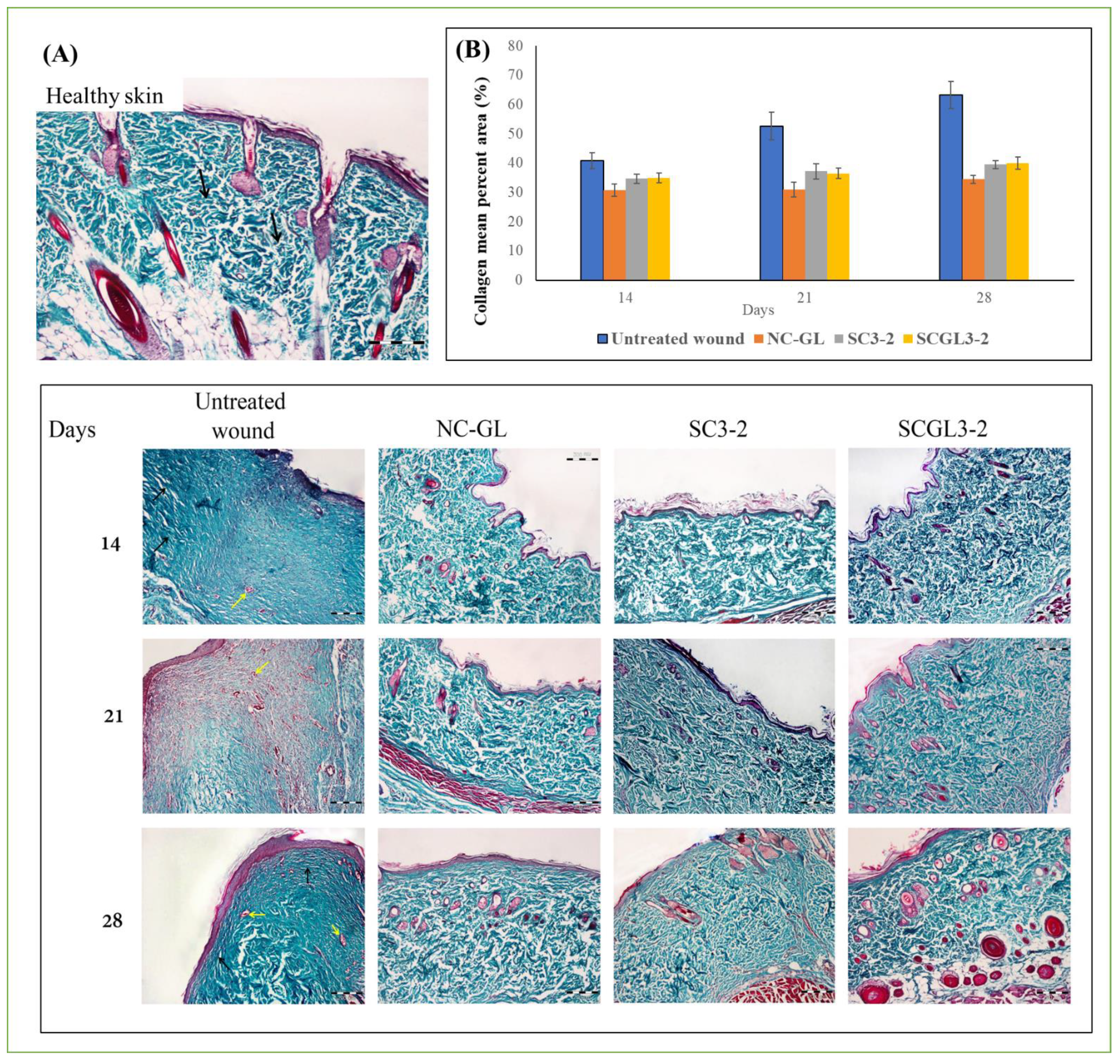 Pharmaceutics 13 01469 g010 550