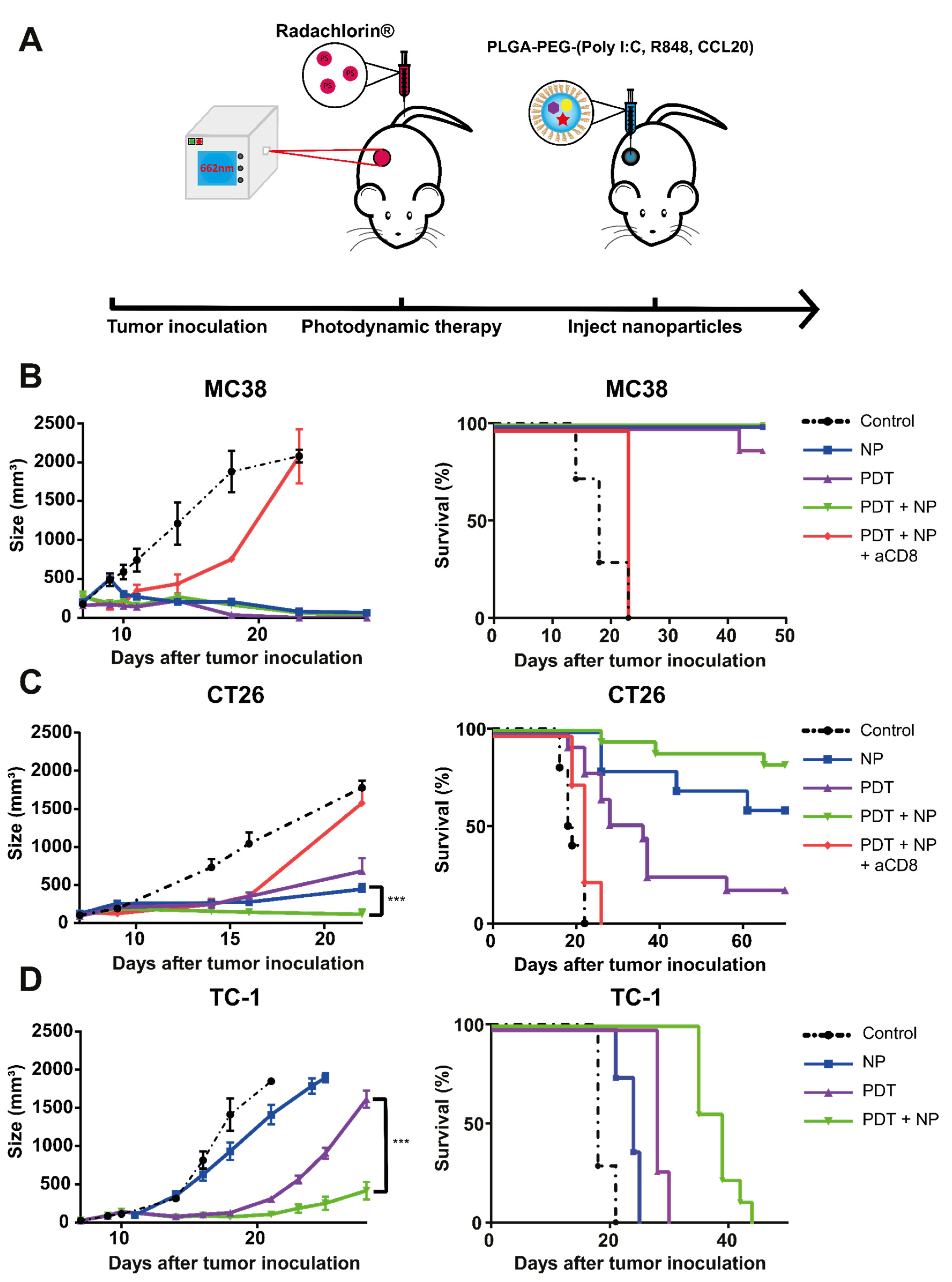 Pharmaceutics 13 01470 g003