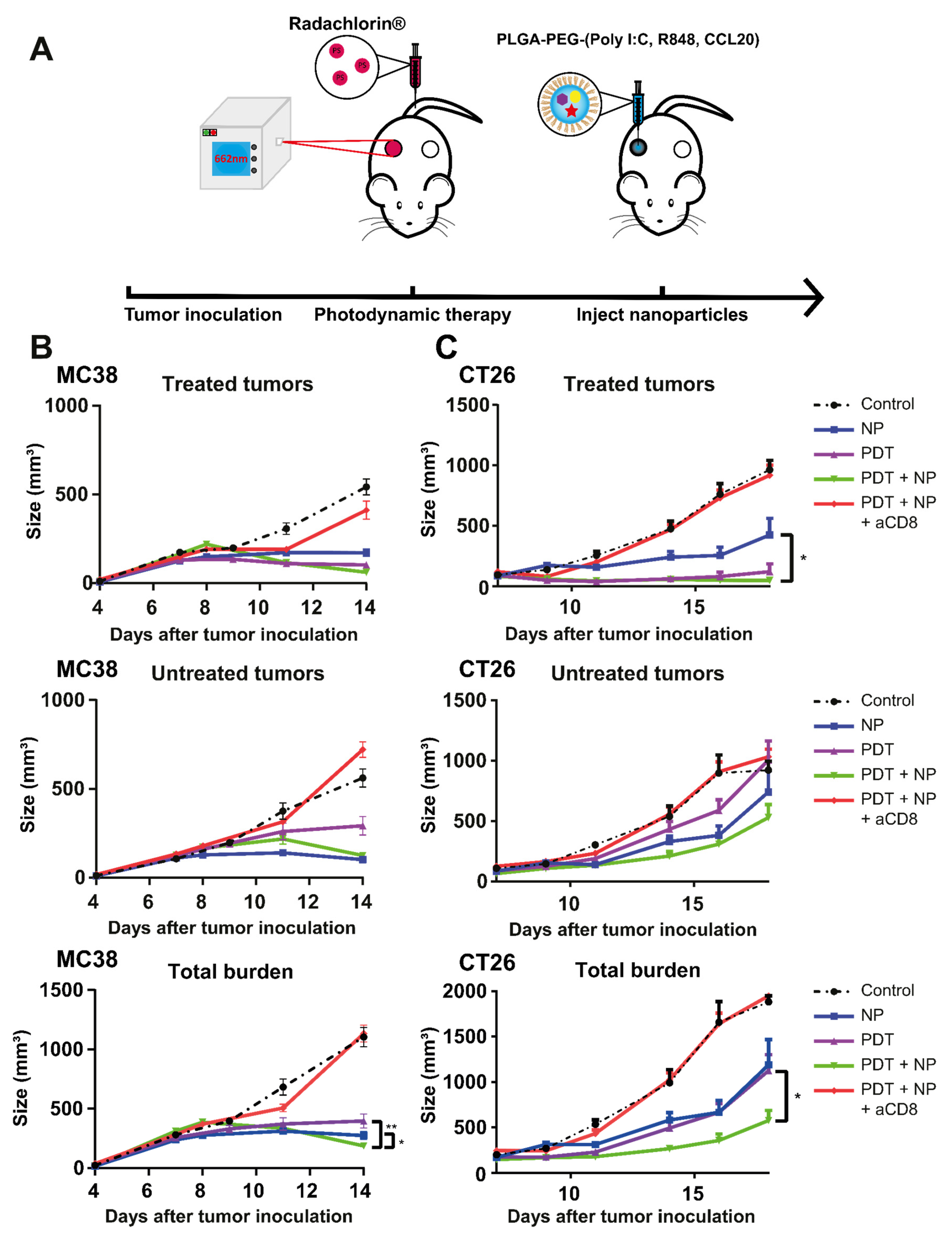 Pharmaceutics 13 01470 g004
