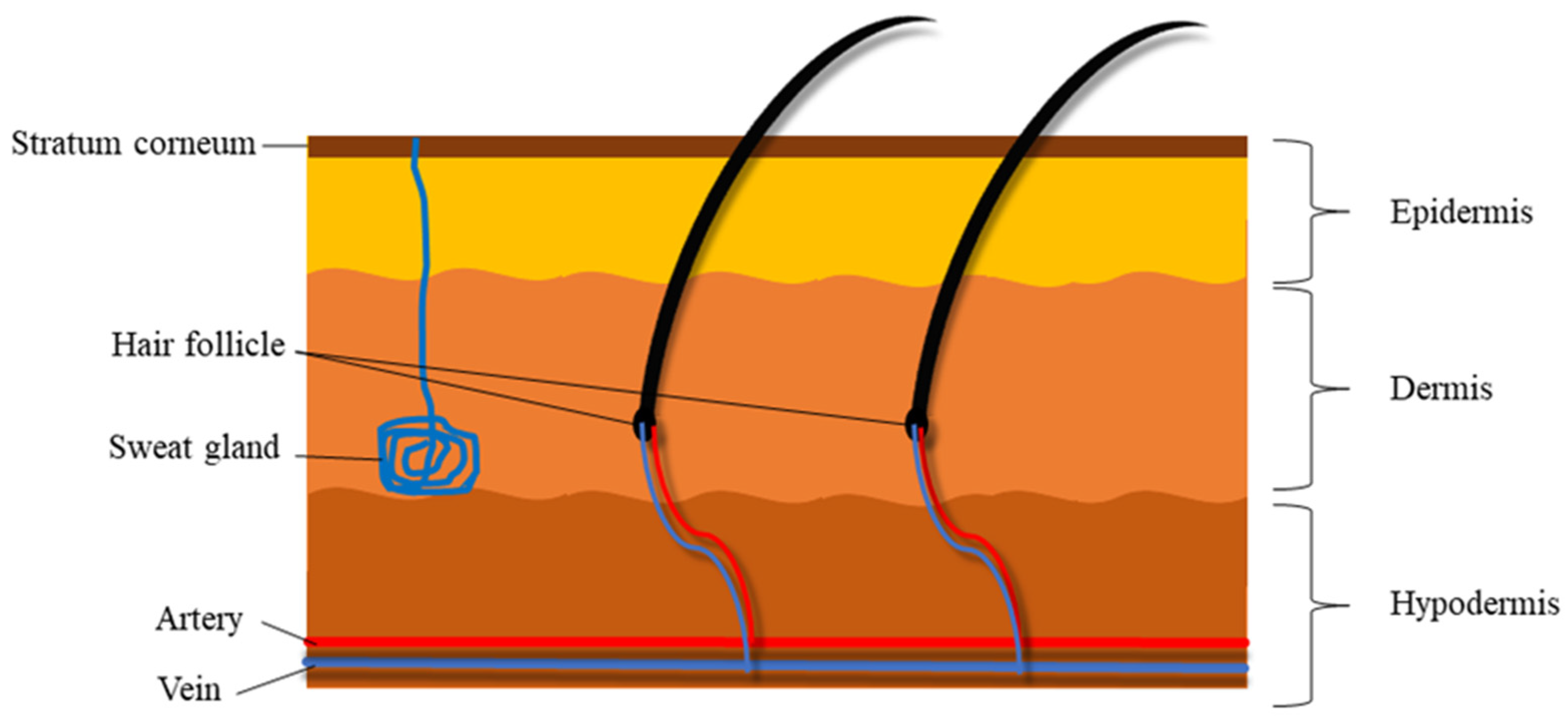 Pharmaceutics 13 01475 g001