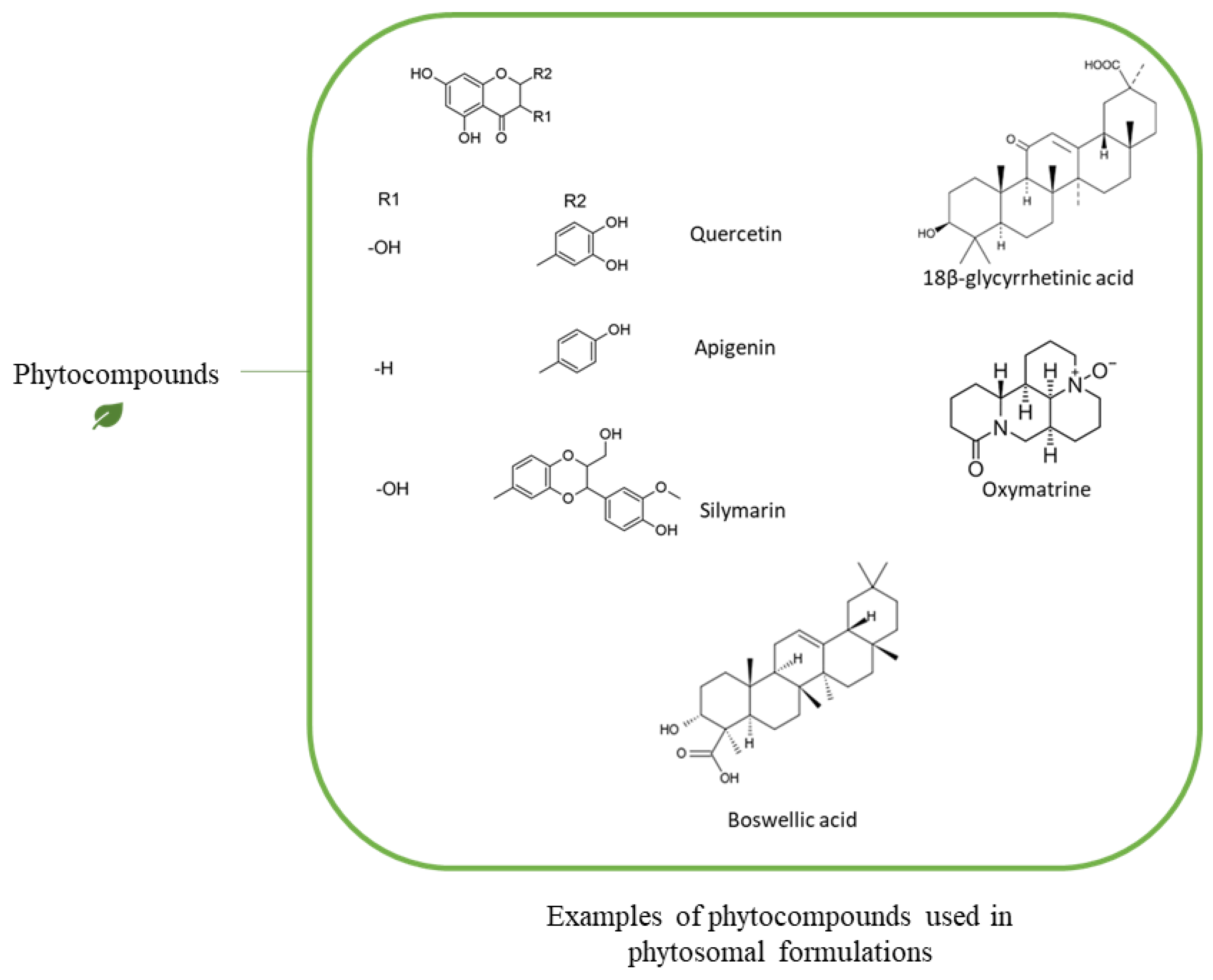 Pharmaceutics 13 01475 g005