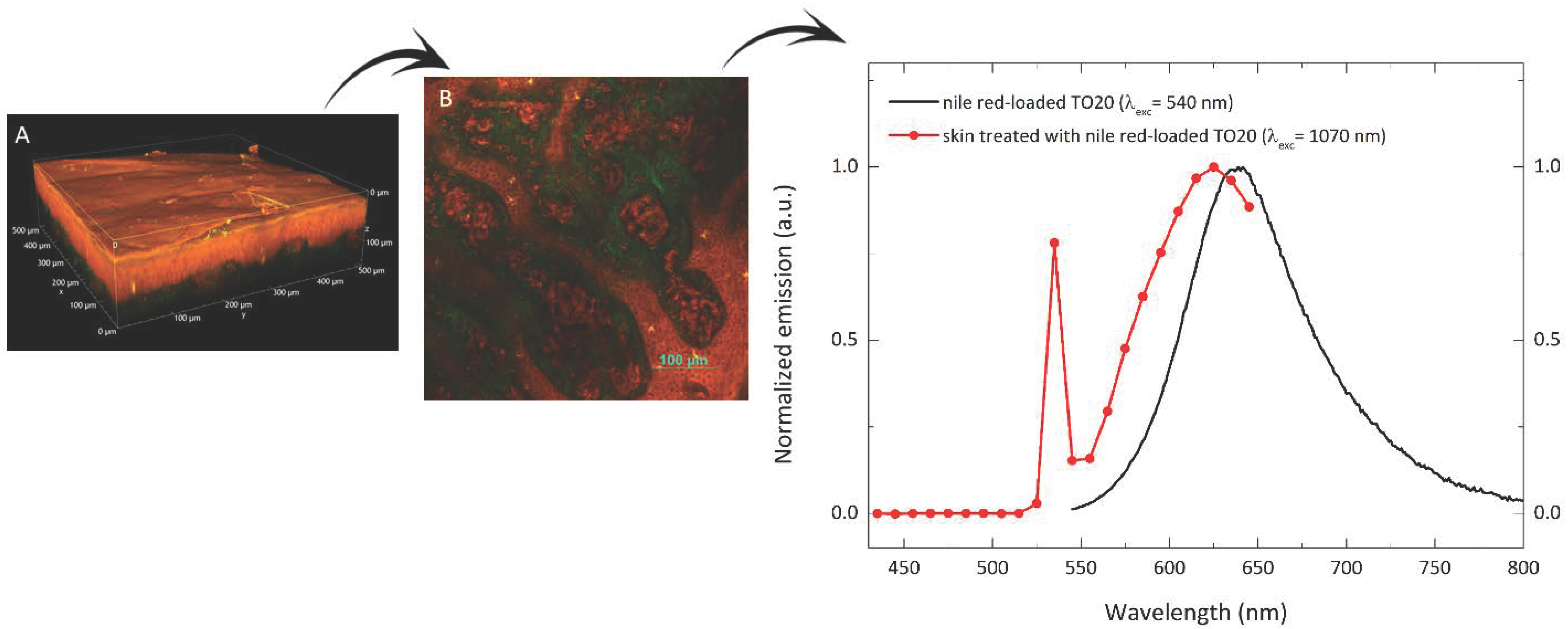 Pharmaceutics 13 01476 g005