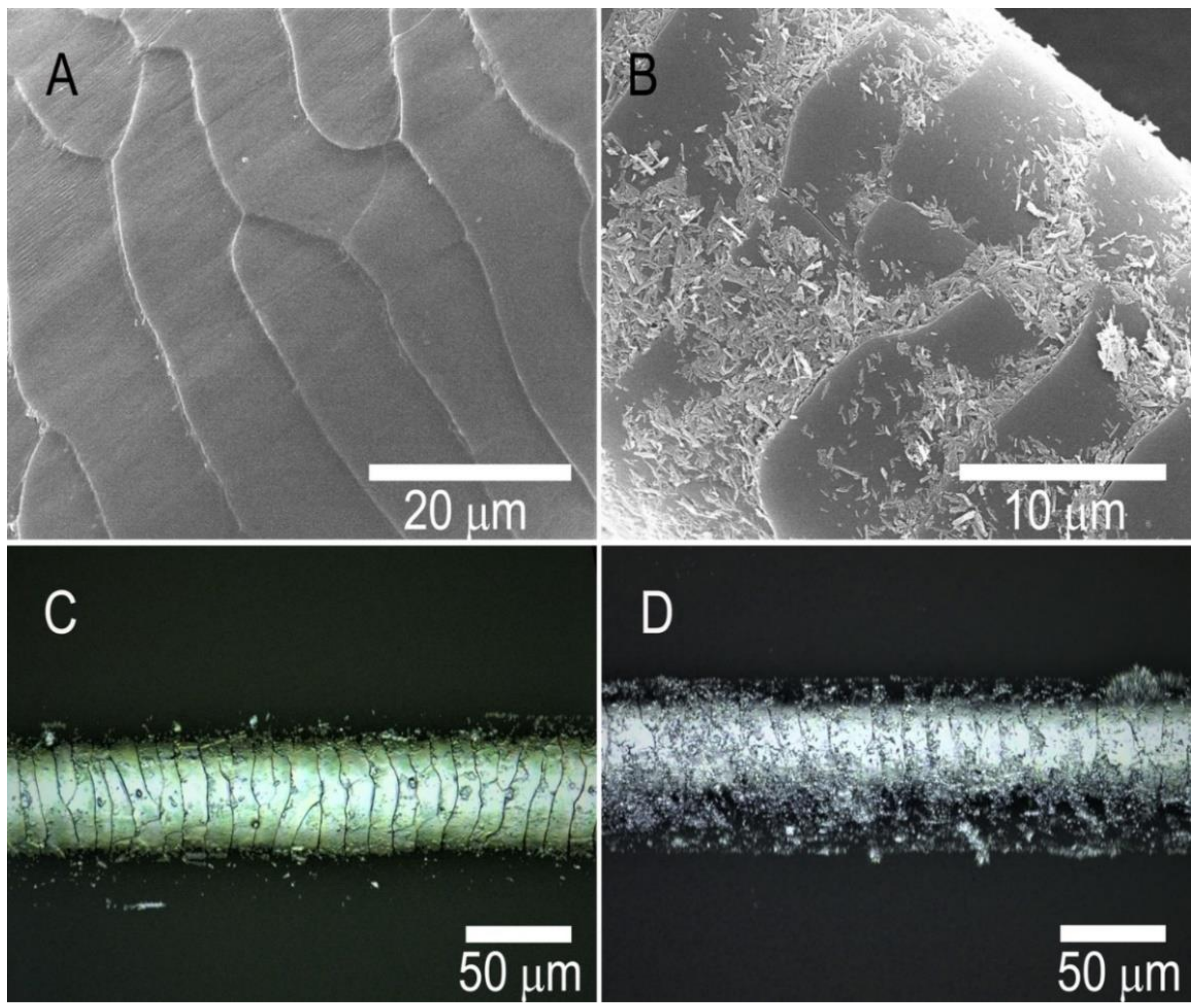 Pharmaceutics 13 01477 g003 550