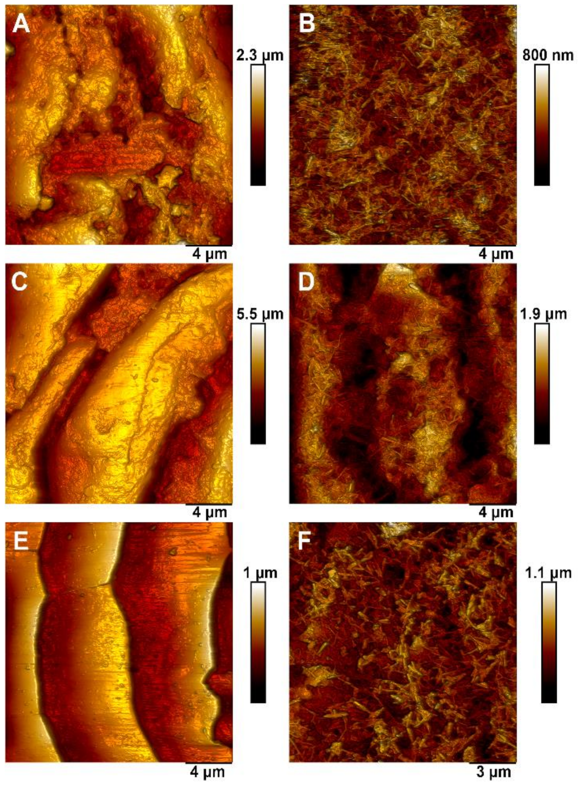 Pharmaceutics 13 01477 g004 550