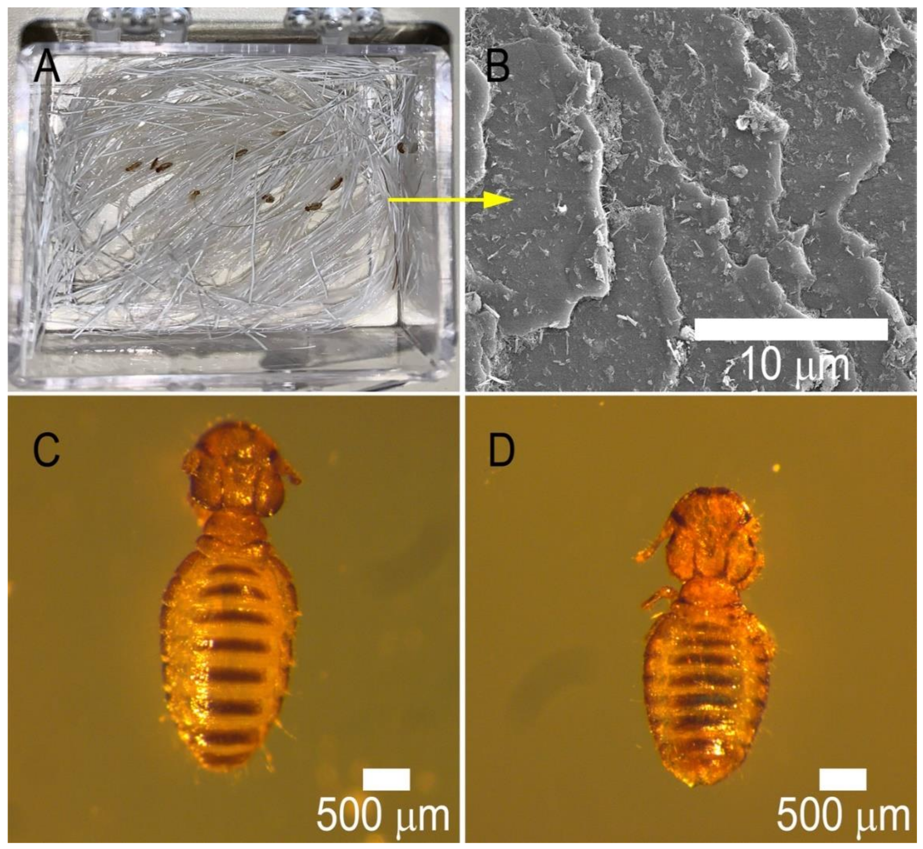Pharmaceutics 13 01477 g009 550