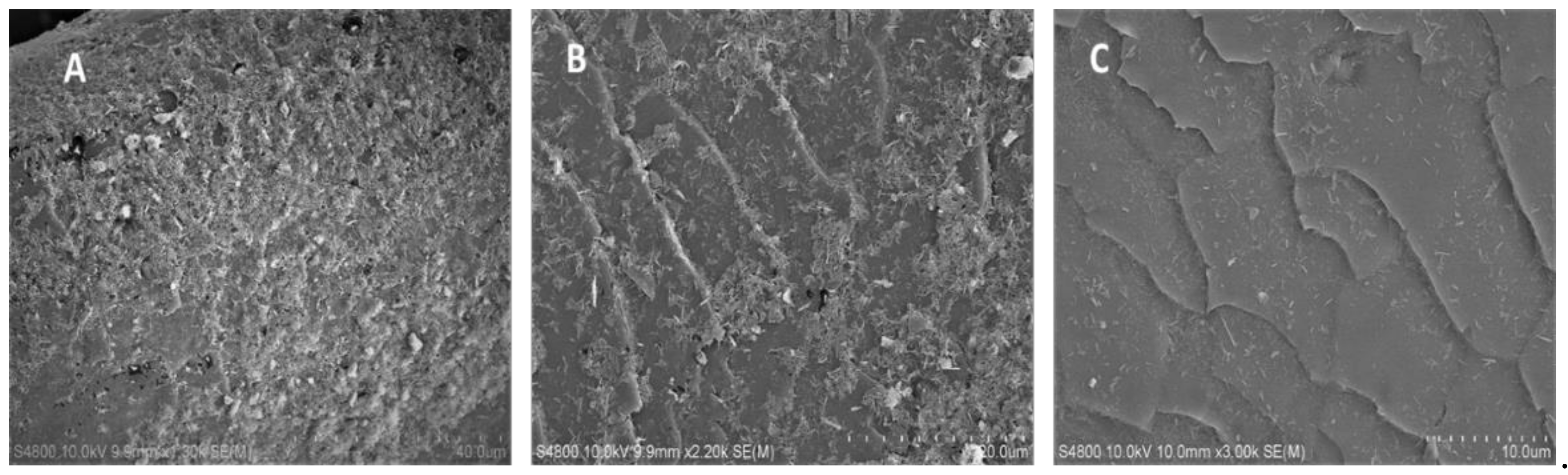 Pharmaceutics 13 01477 g010 550