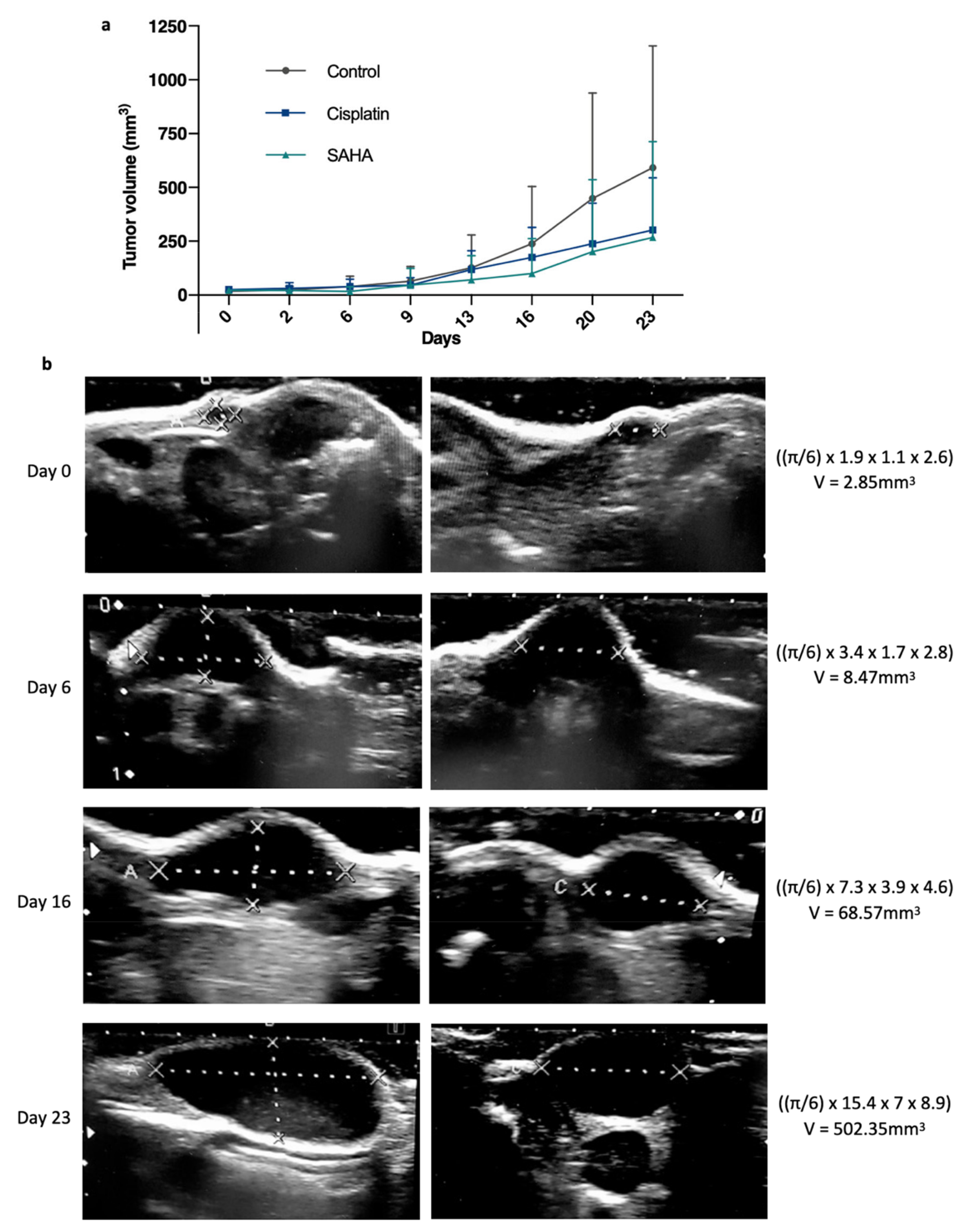 Pharmaceutics 13 01485 g002 Pharmaceutics 13 01485 g002