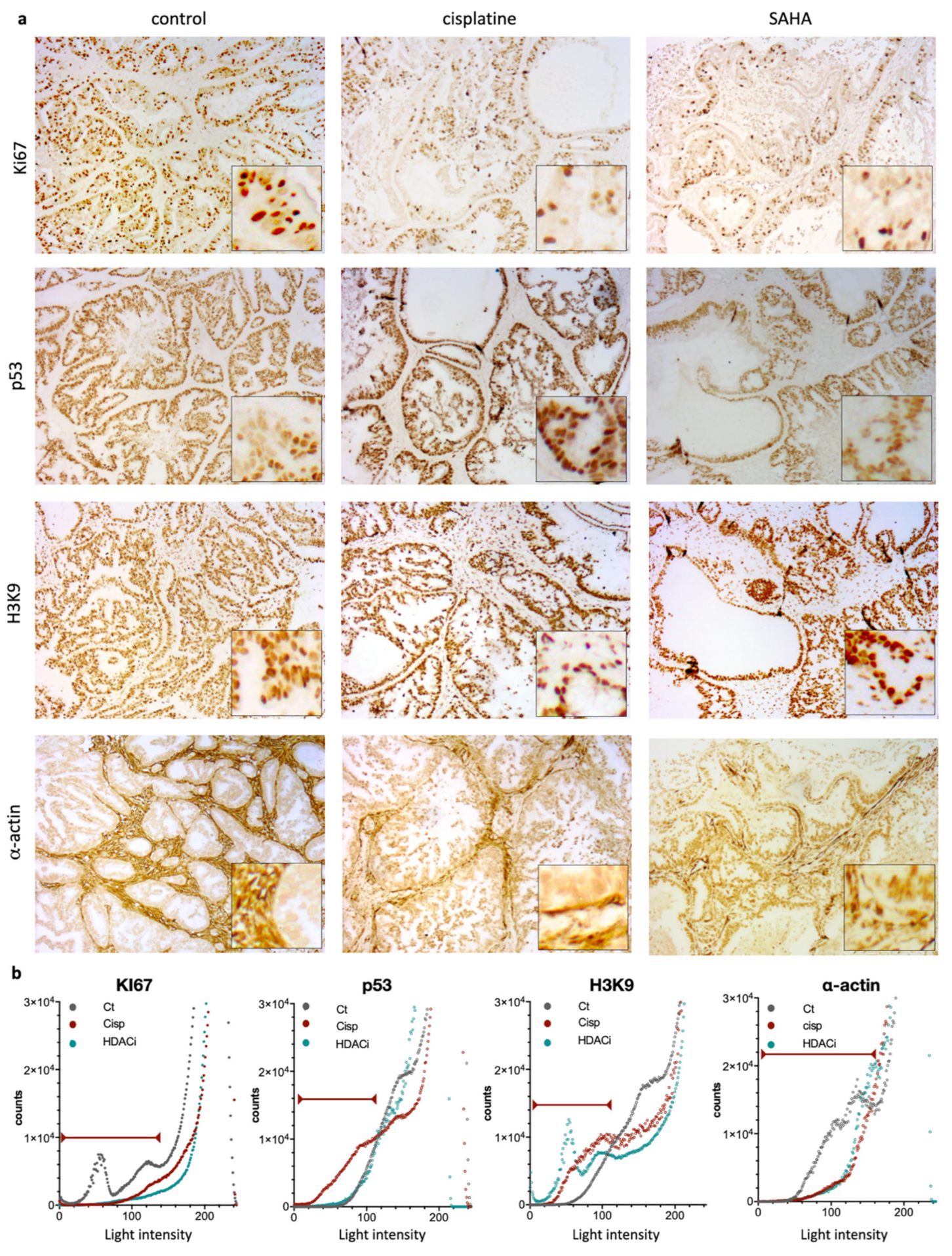 Pharmaceutics 13 01485 g005 Pharmaceutics 13 01485 g005