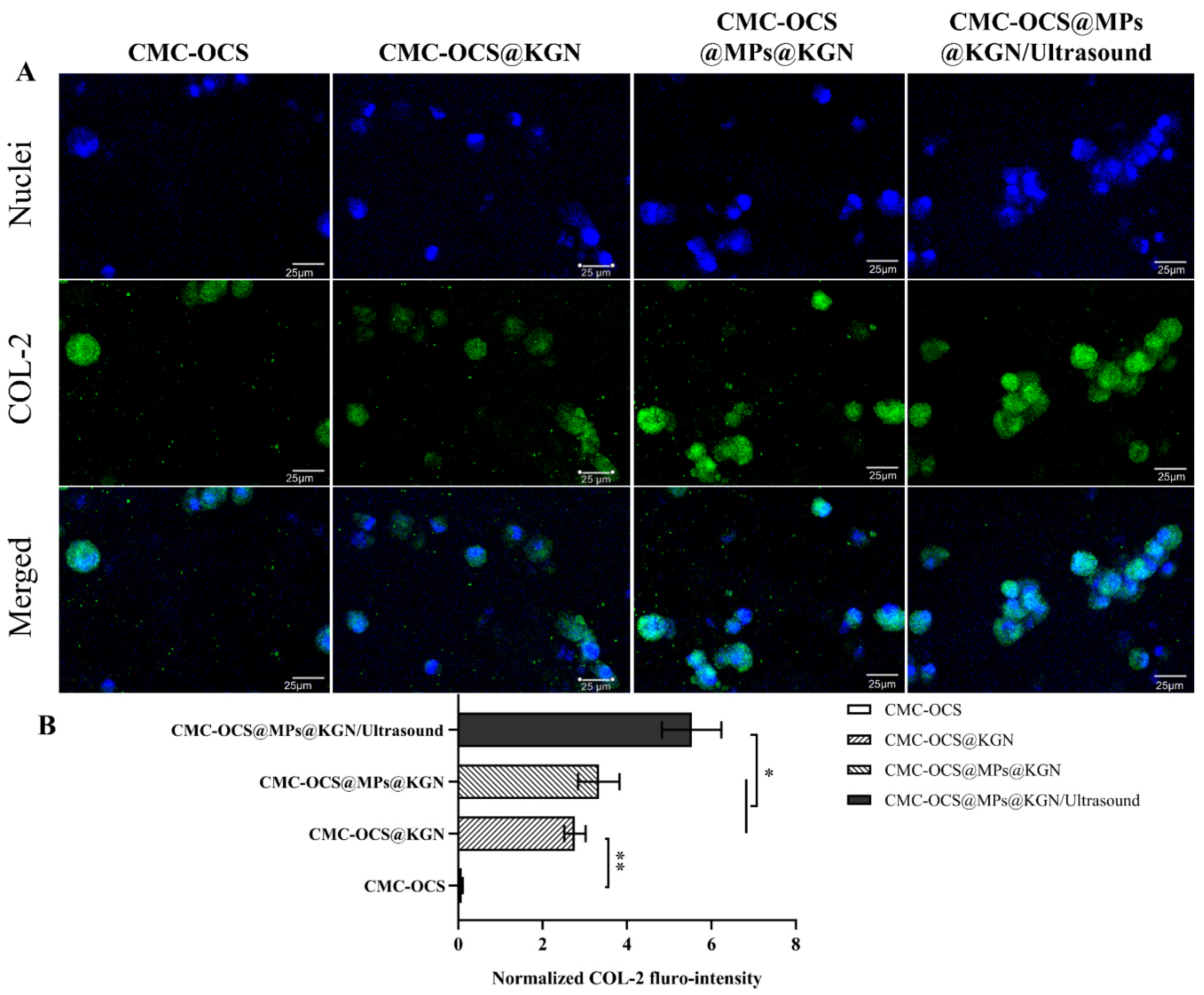 Pharmaceutics 13 01487 g006 550