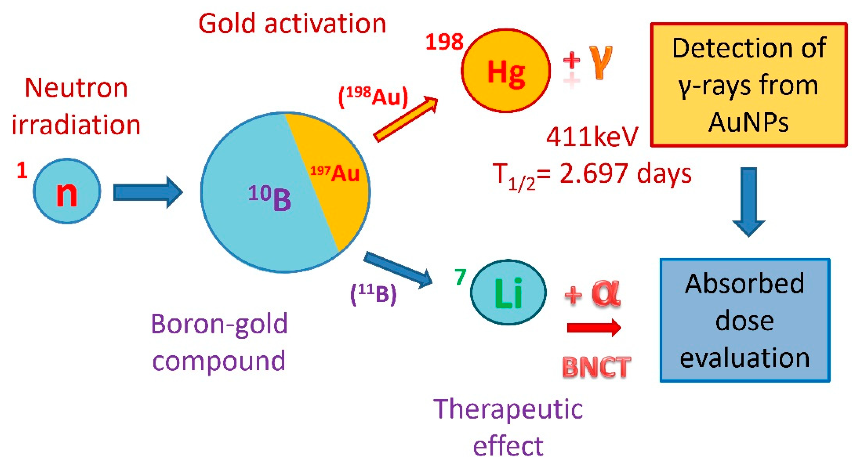 Boron Protons Neutrons Electrons