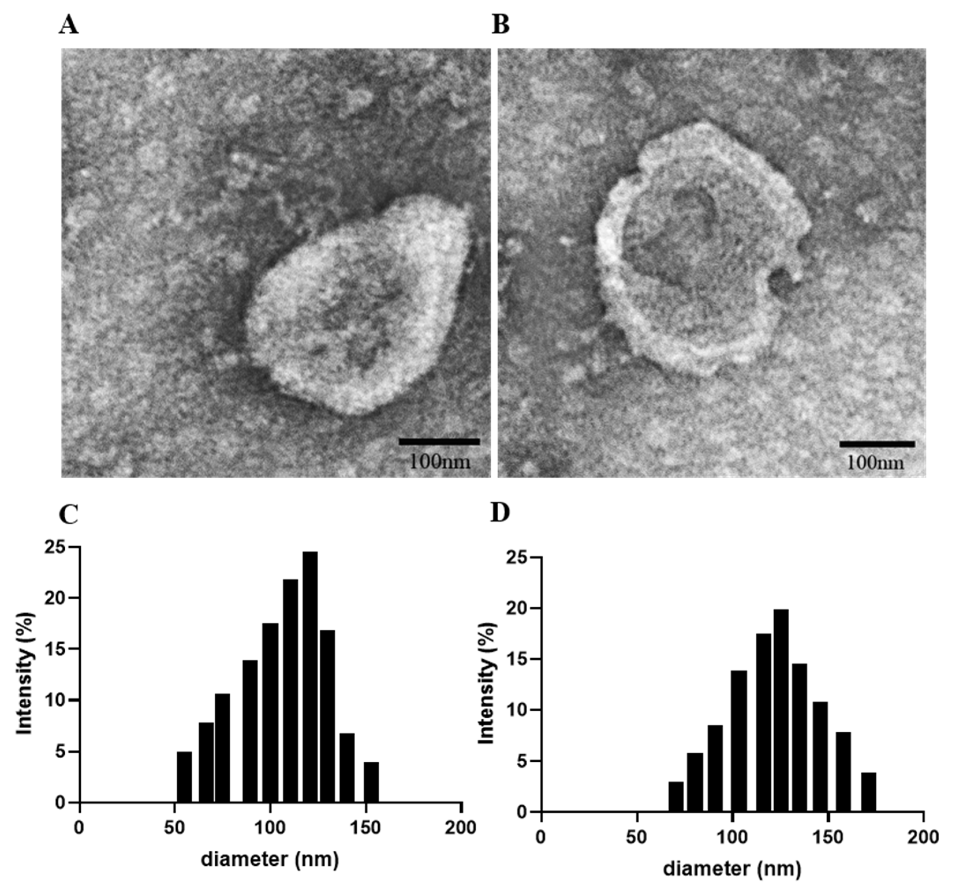 Pharmaceutics 13 01493 g001 550