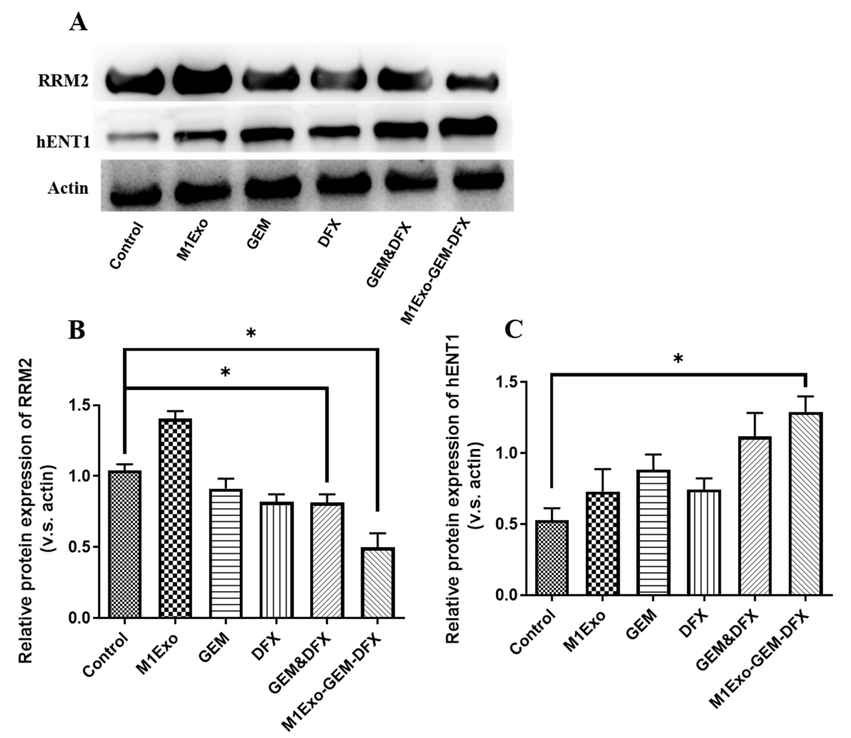 Pharmaceutics 13 01493 g004 550