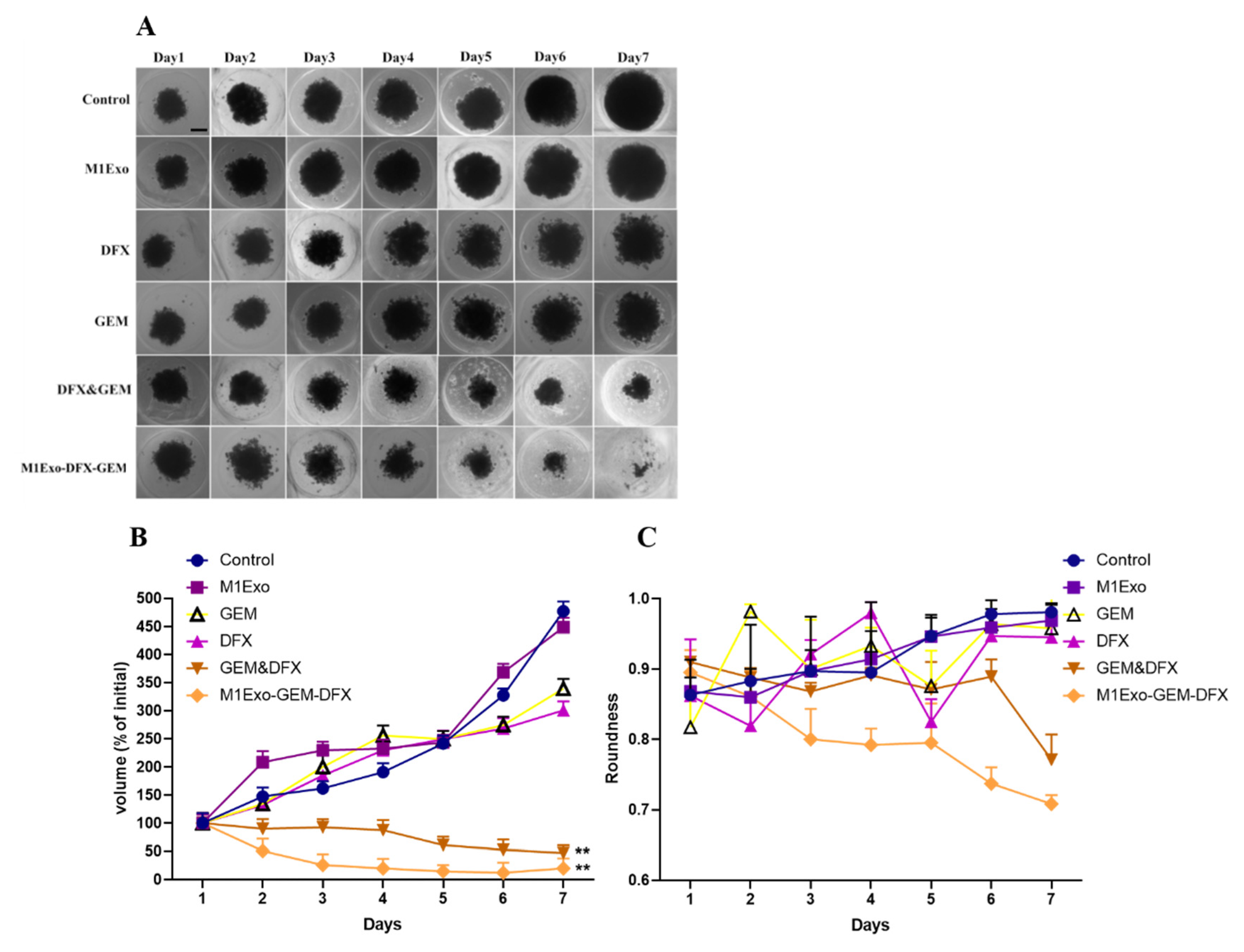 Pharmaceutics 13 01493 g006 550