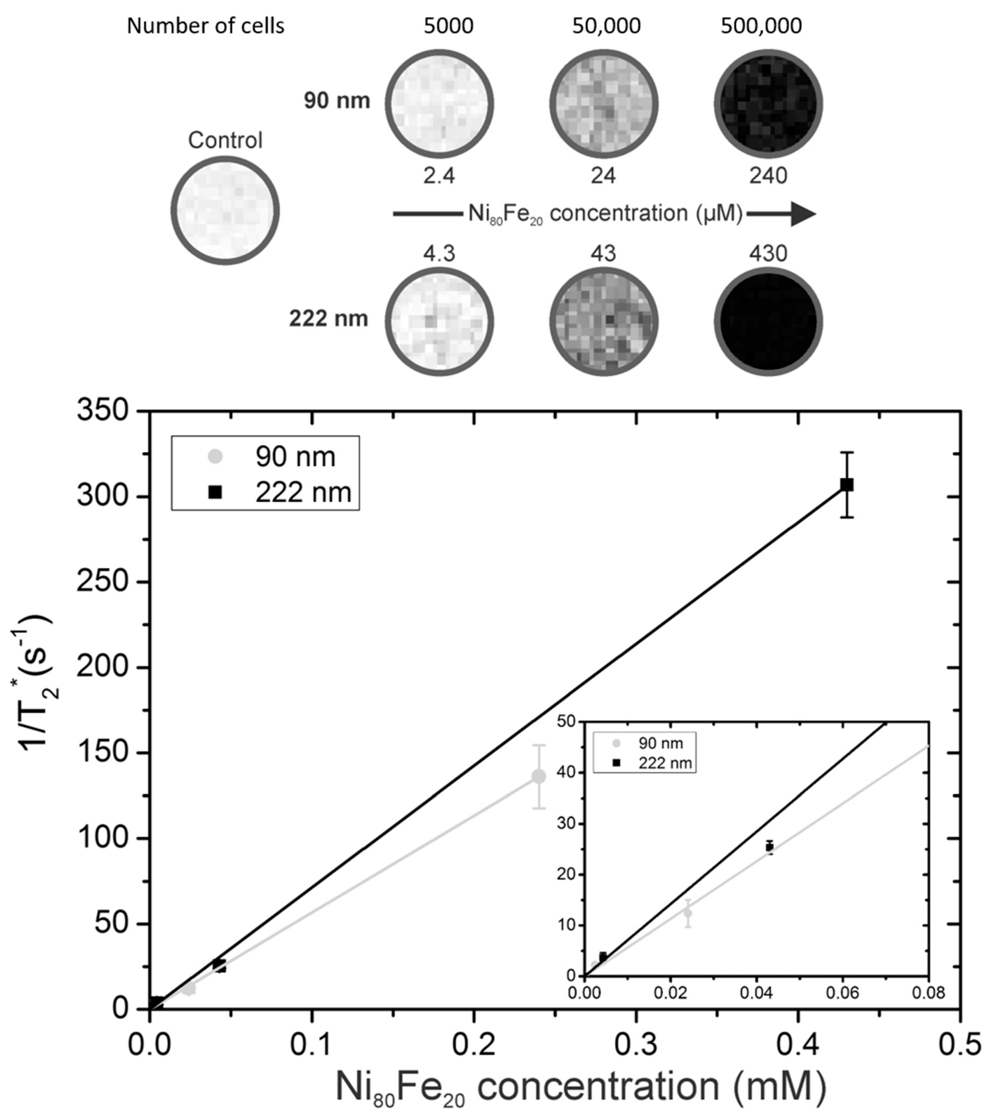 Pharmaceutics 13 01494 g002