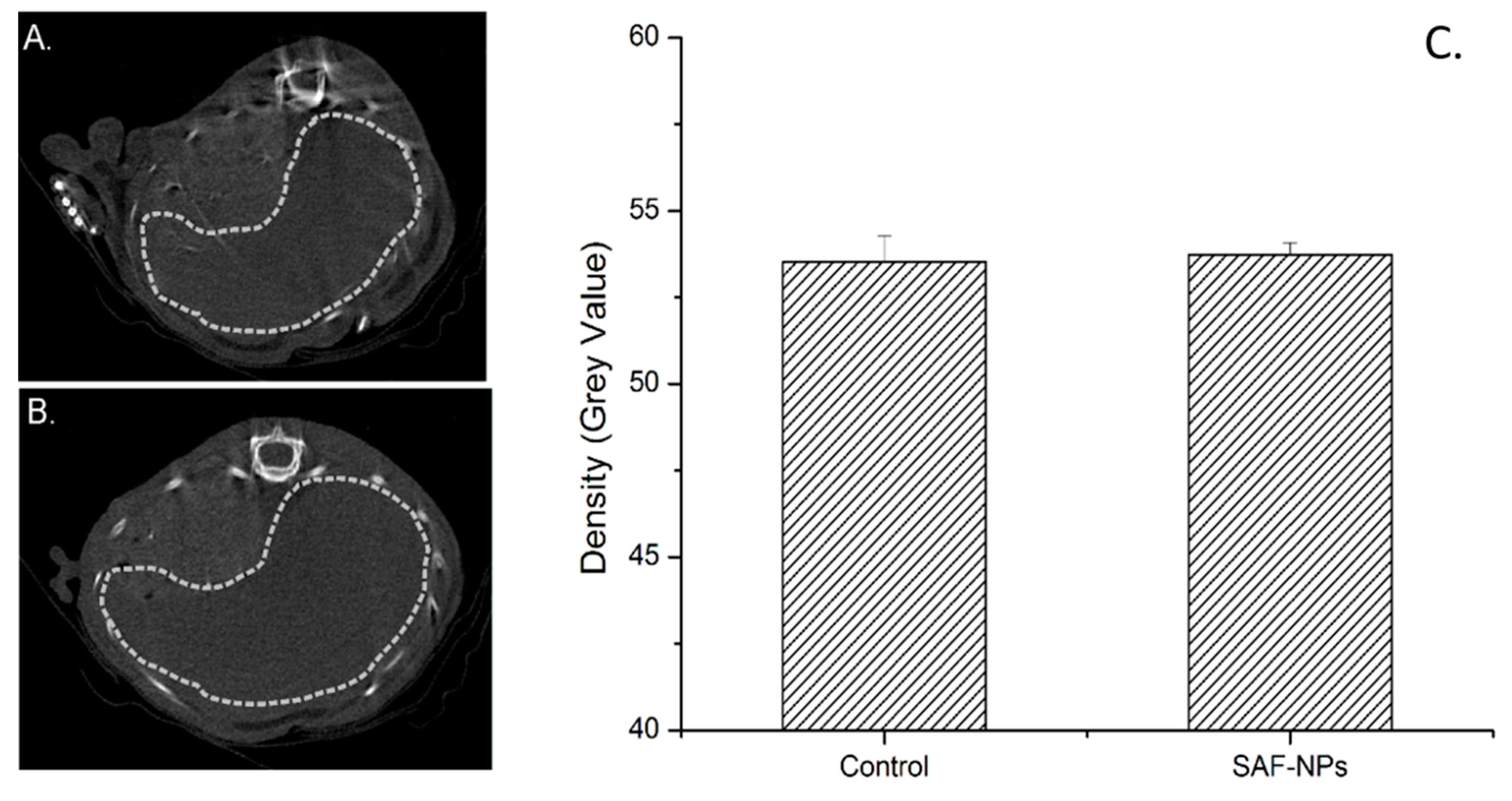 Pharmaceutics 13 01494 g005