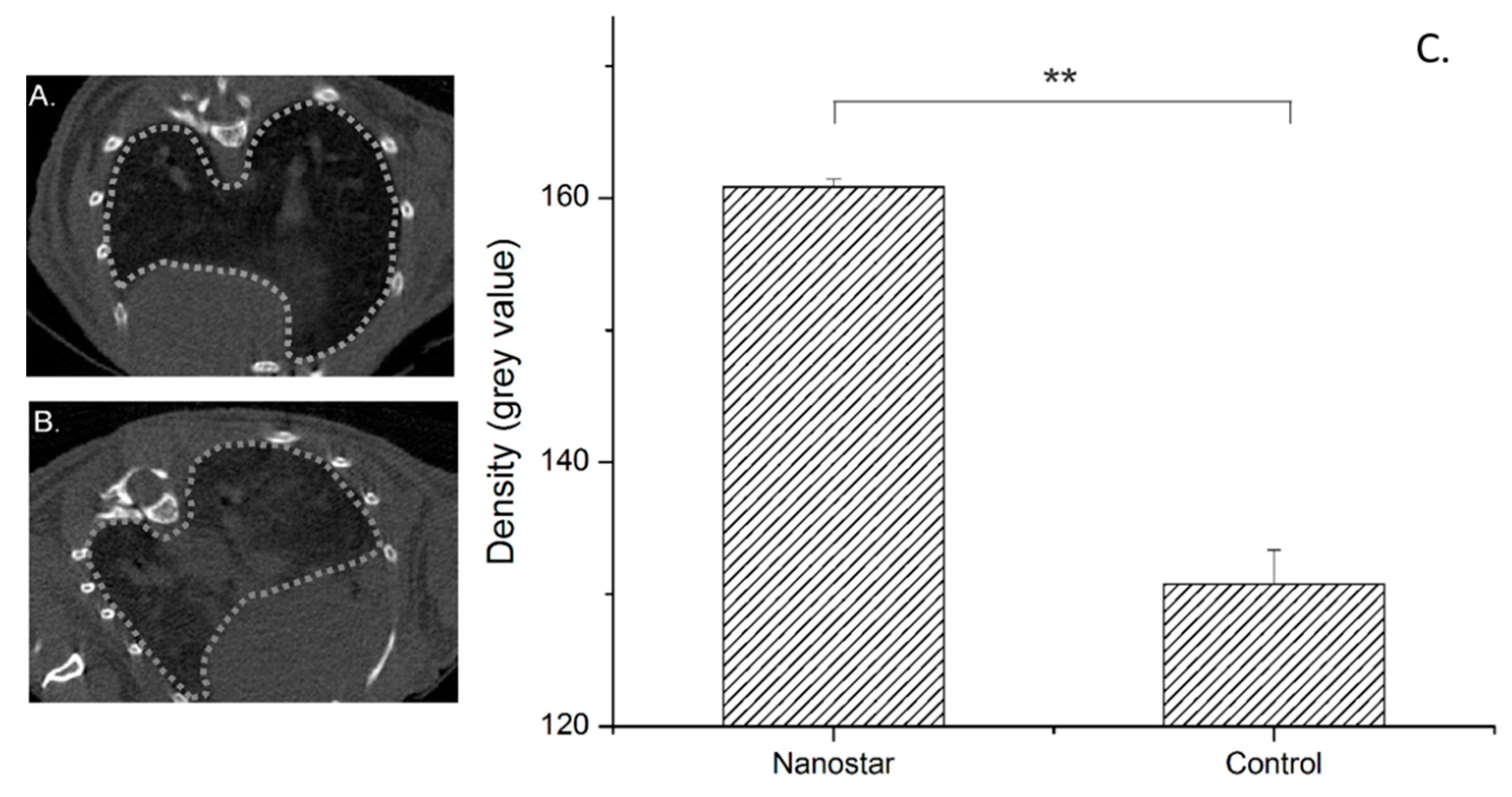 Pharmaceutics 13 01494 g007