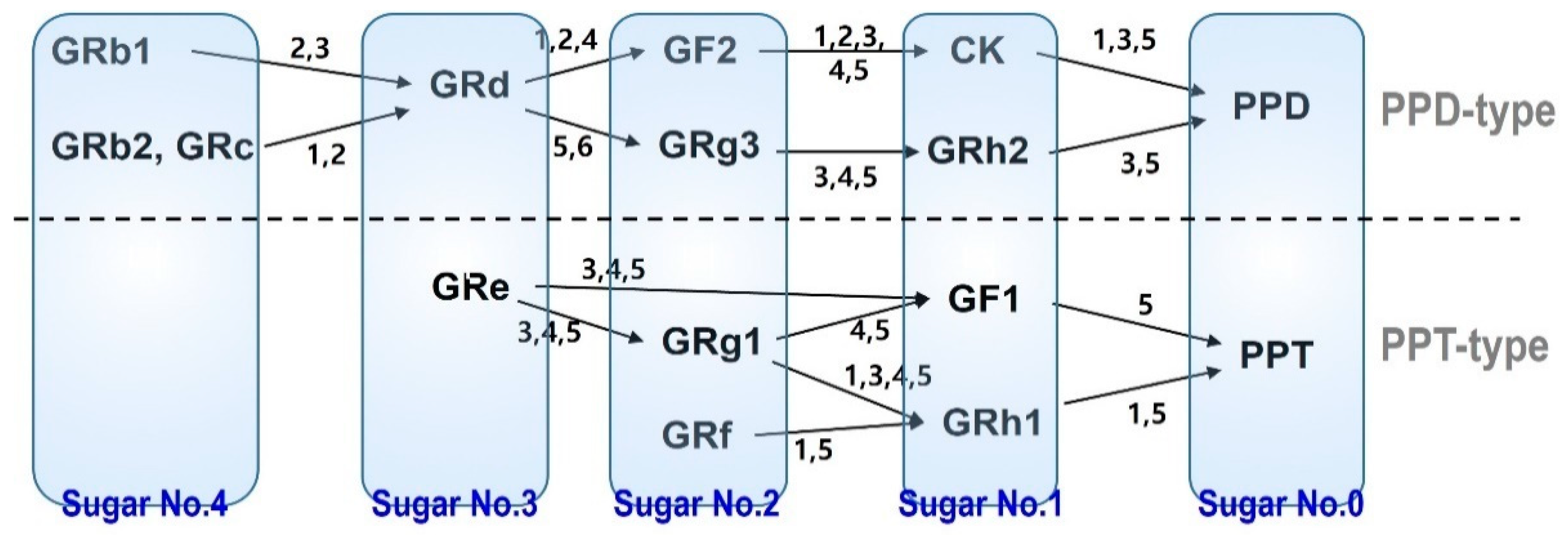 Pharmaceutics 13 01496 g001 550