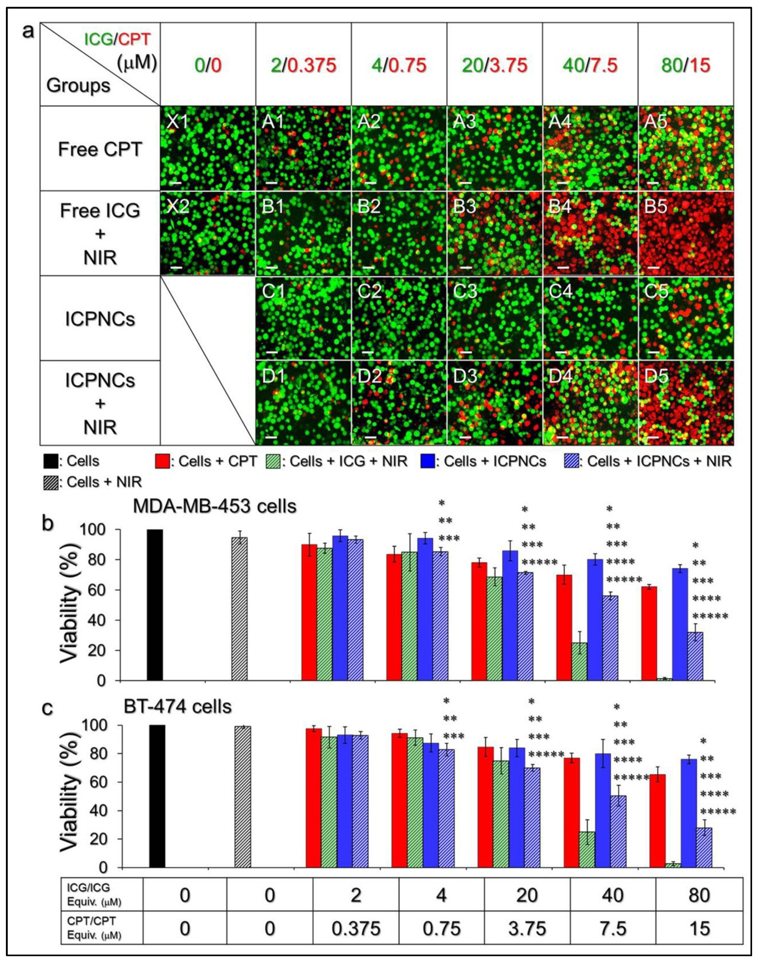 Pharmaceutics 13 01499 g003