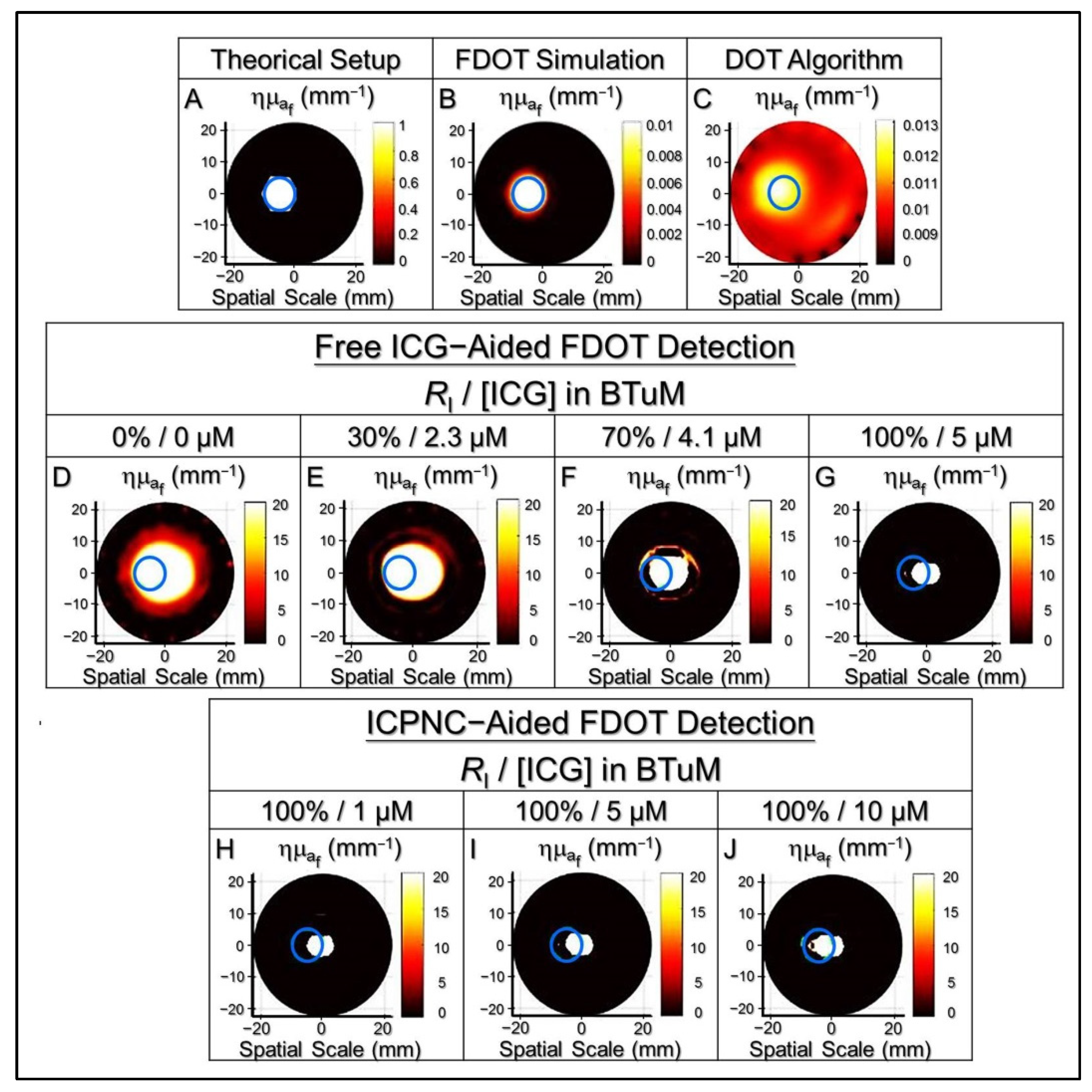 Pharmaceutics 13 01499 g005
