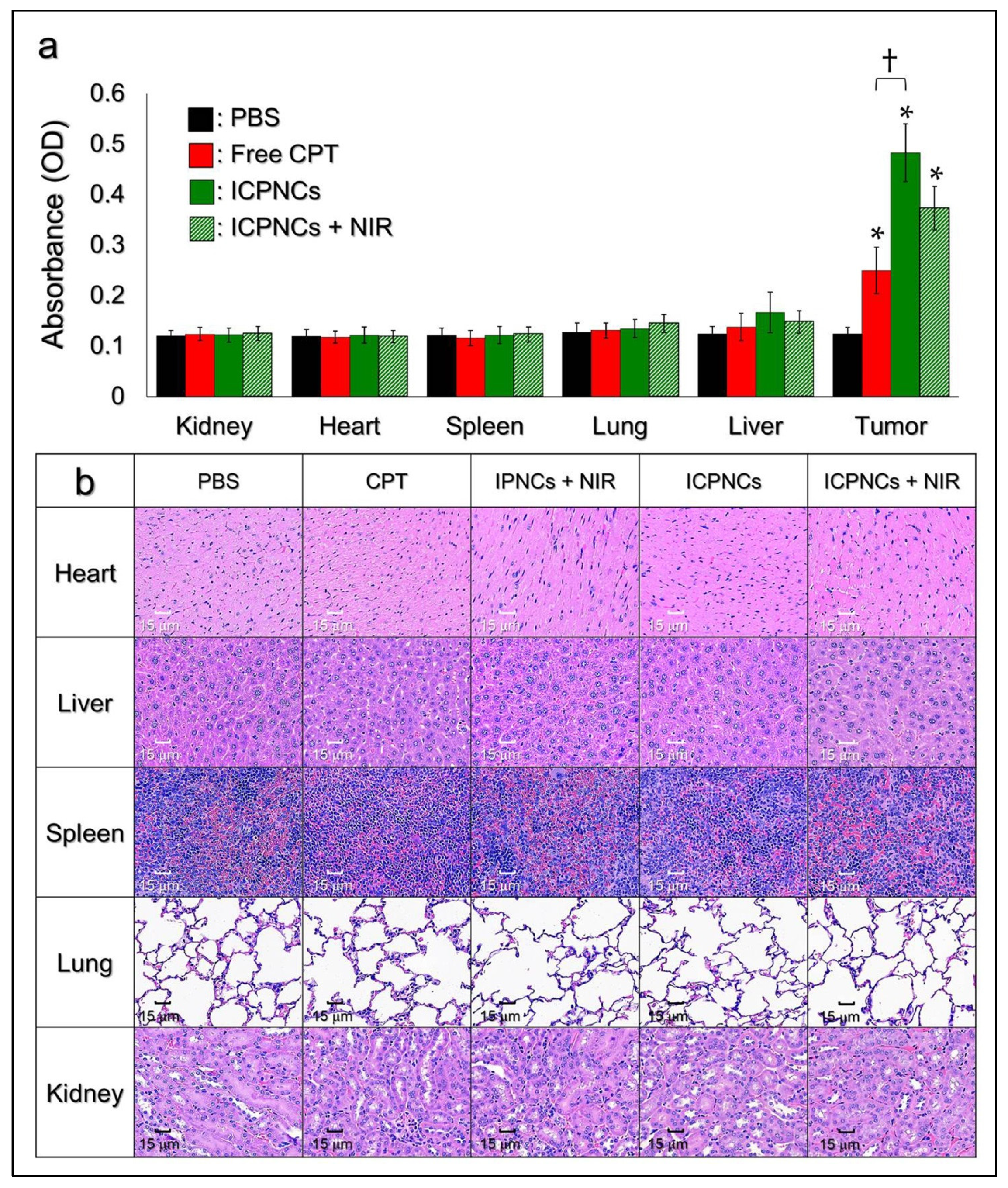 Pharmaceutics 13 01499 g009