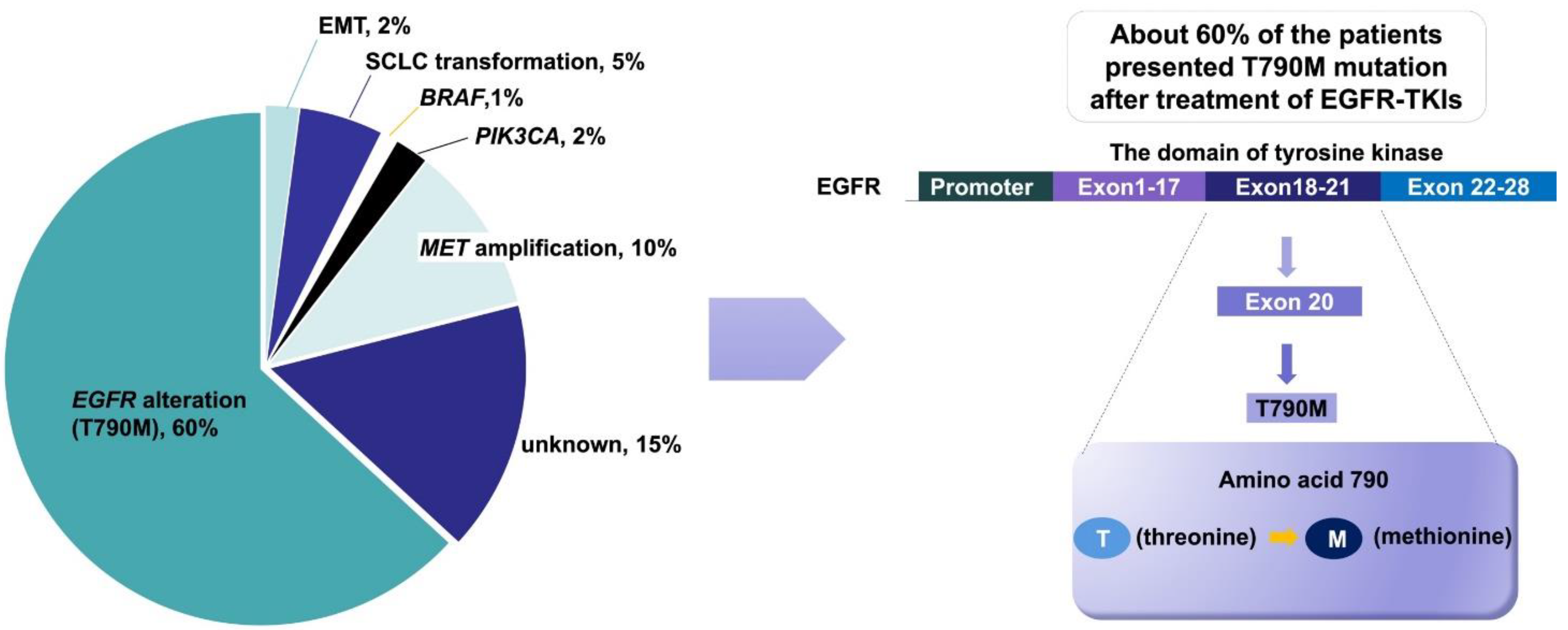 Pharmaceutics 13 01500 g002 550