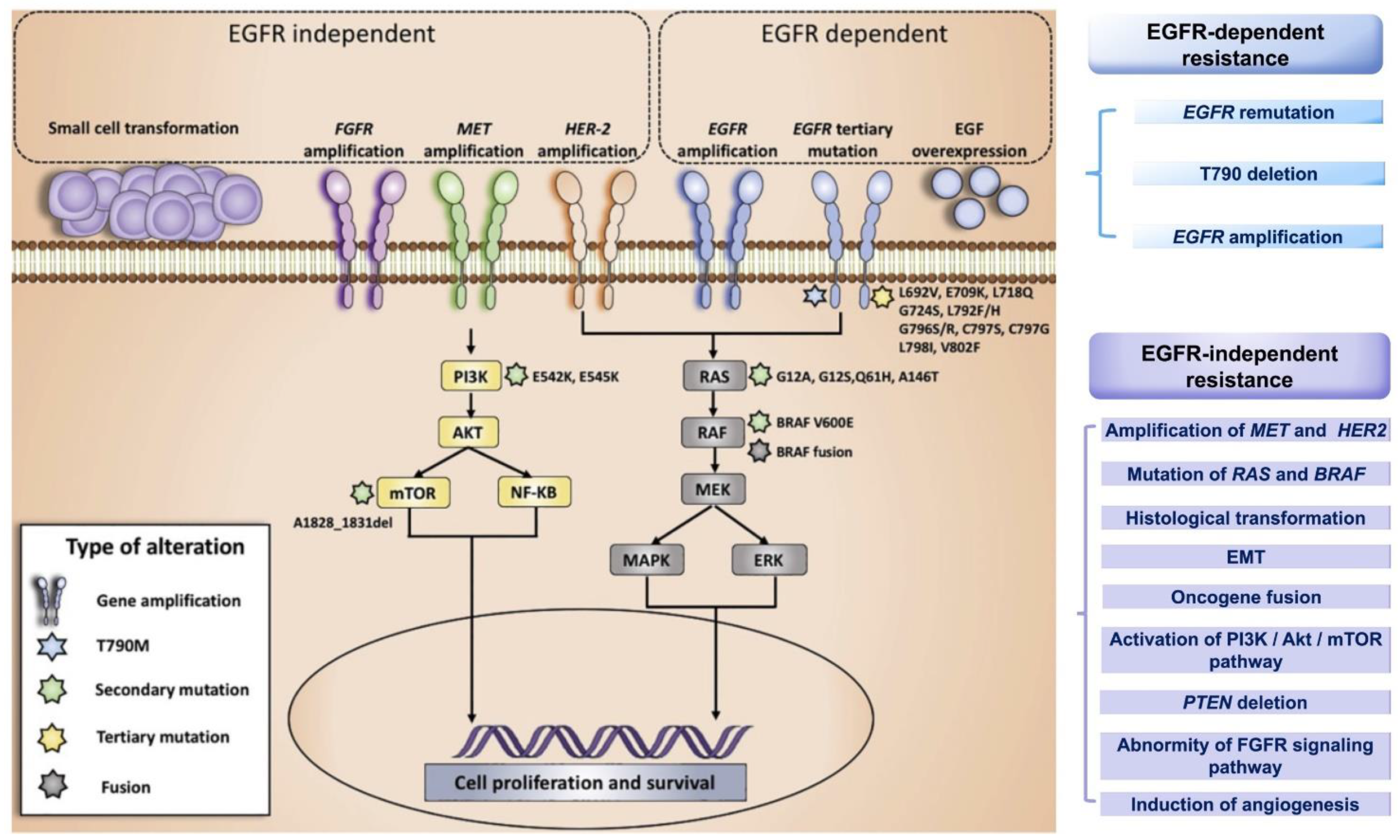 Pharmaceutics 13 01500 g003 550