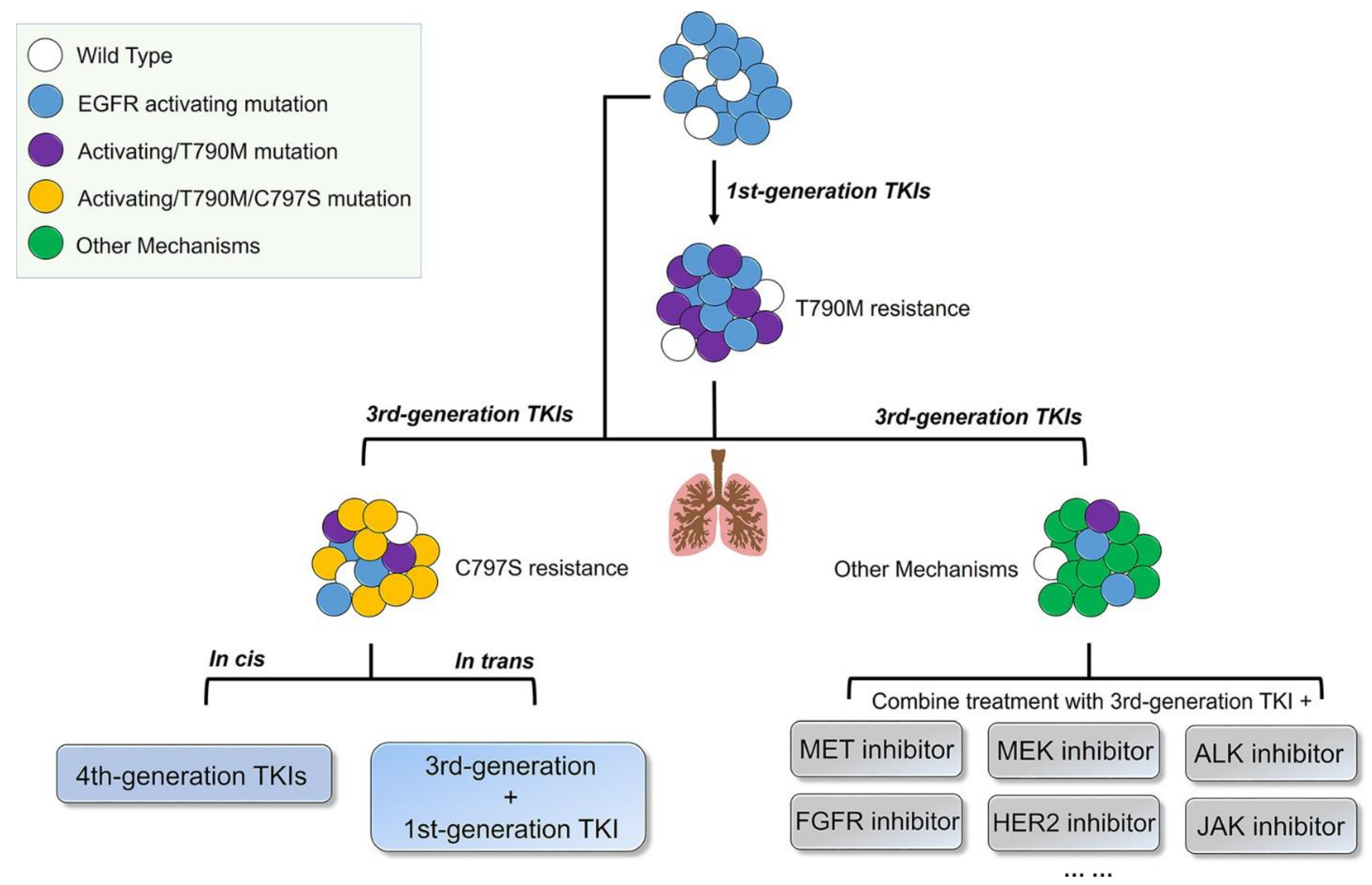 Pharmaceutics 13 01500 g006 550